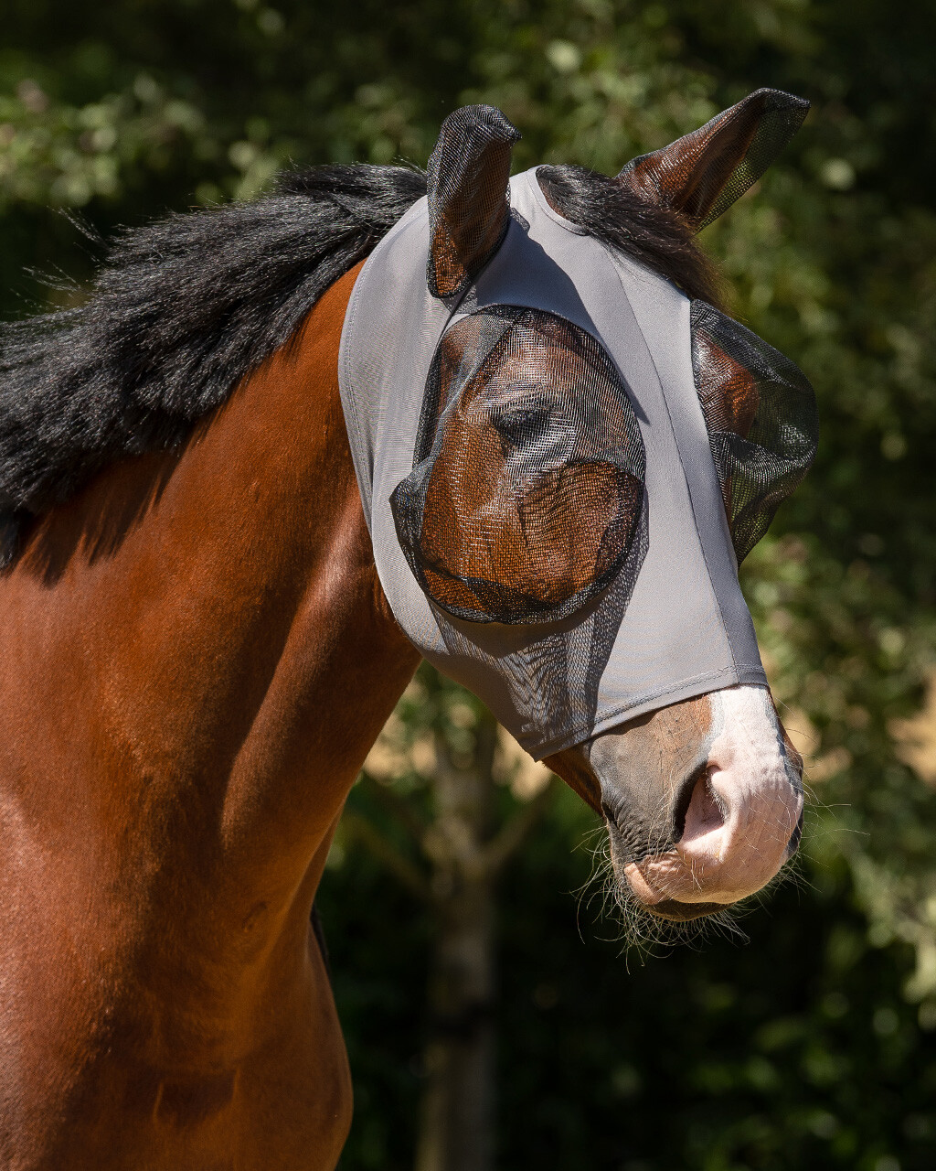 Fly mask Super Bug