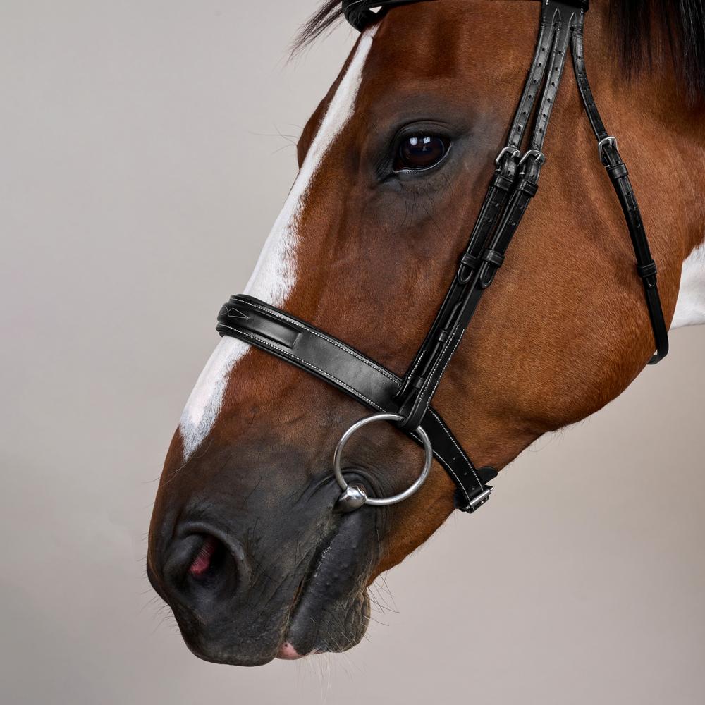 Hunter Trense mit breitem englischem Reithalfter US