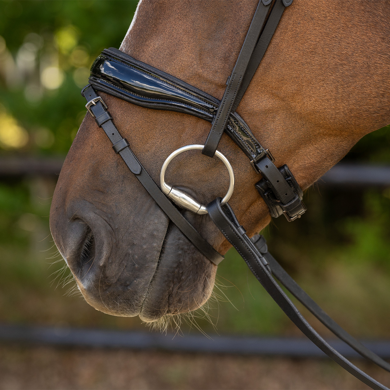 Snaffle Orlando