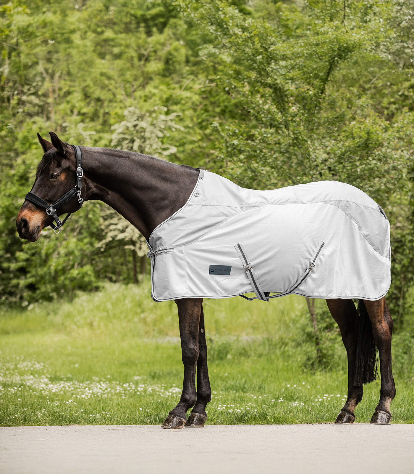 Protect rain fly rug