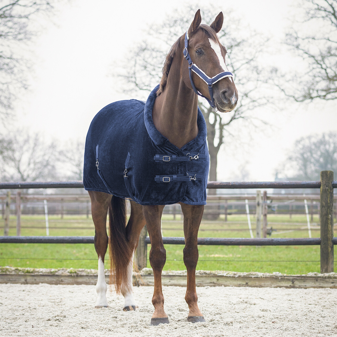 Sensisoft sweat rug