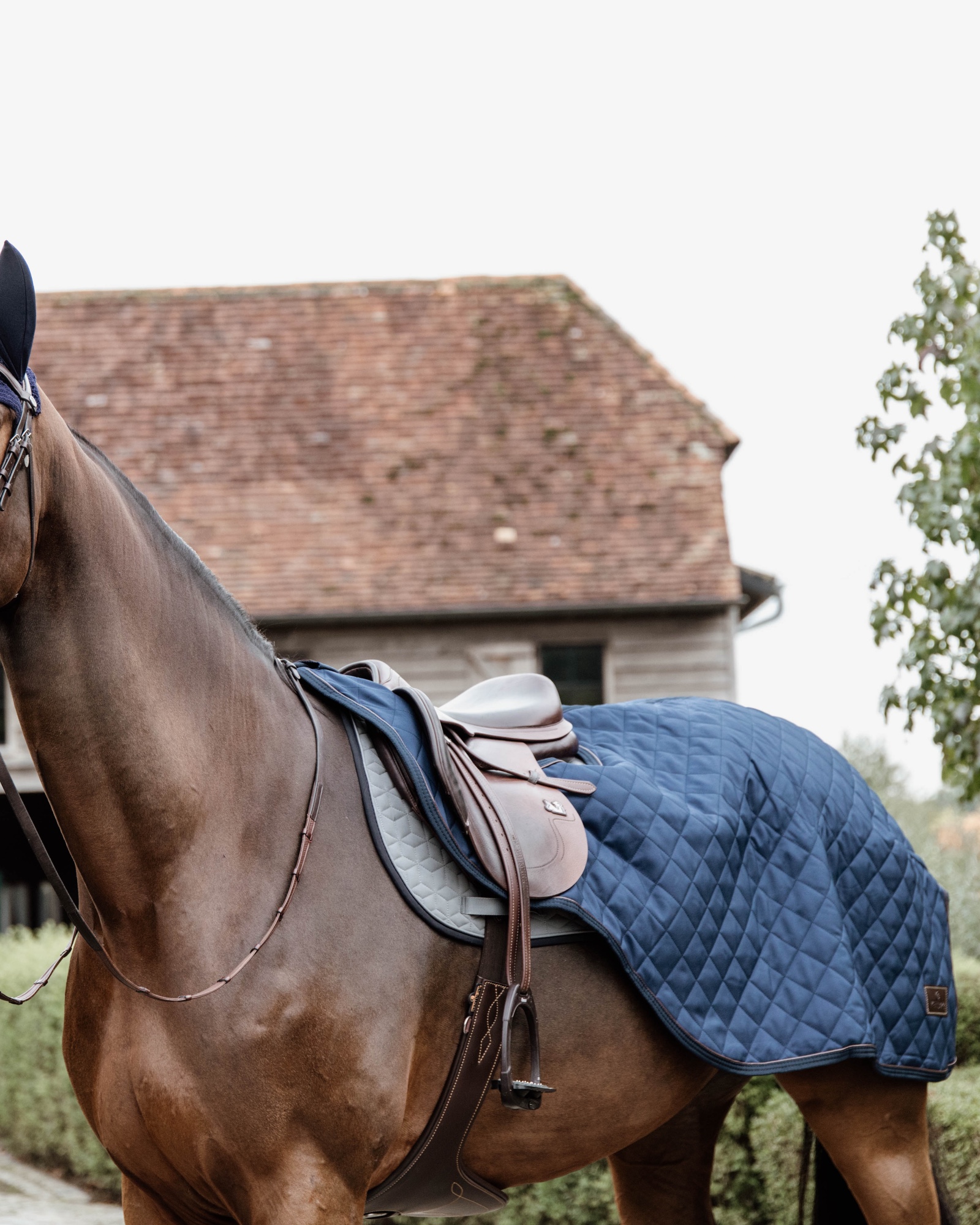 Riding rug 160g