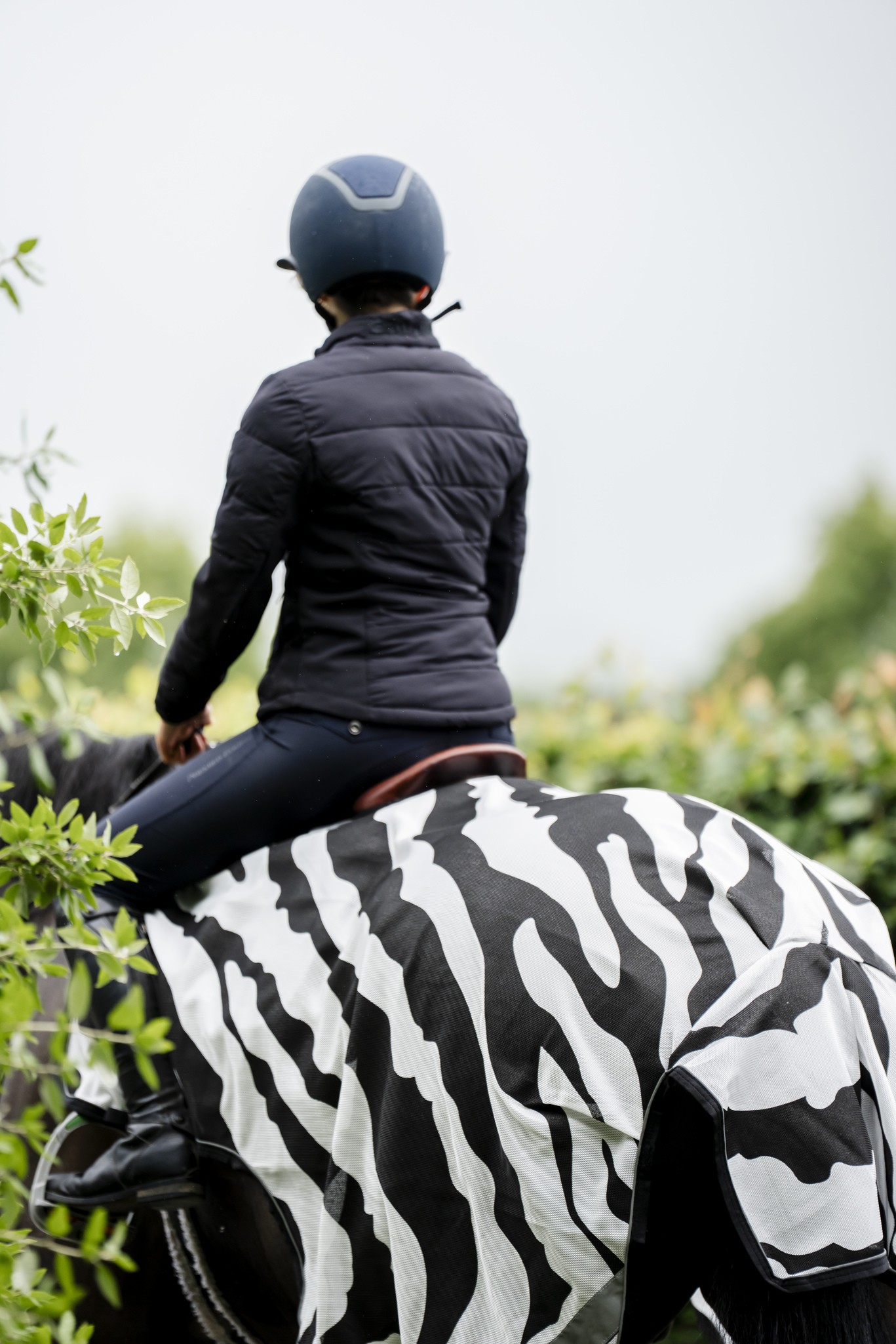 Fliegendecke Buzz-Off Riding in Zebra/Black