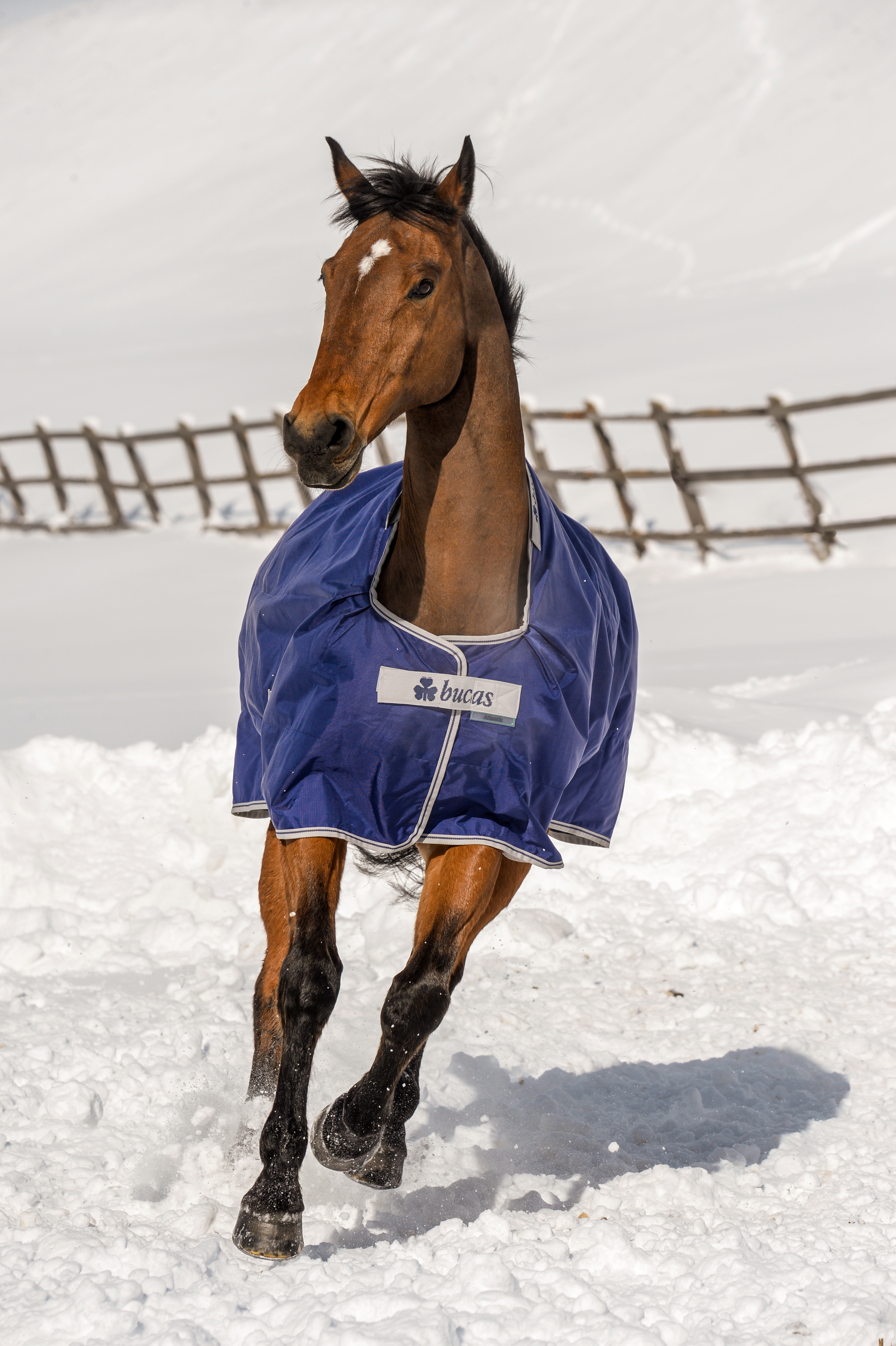 Outdoordecke Atlantic Turnout 200g in Navy