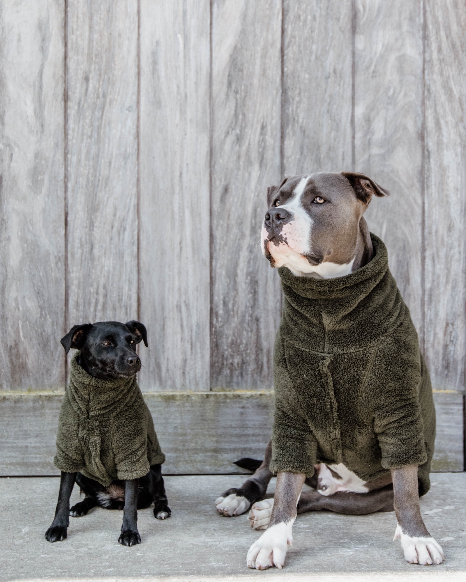 Teddy fleece dog jumper