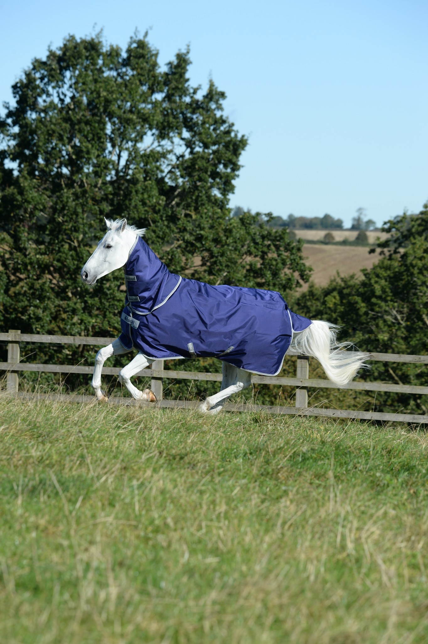 Halsteil Atlantic Turnout Neck in Navy