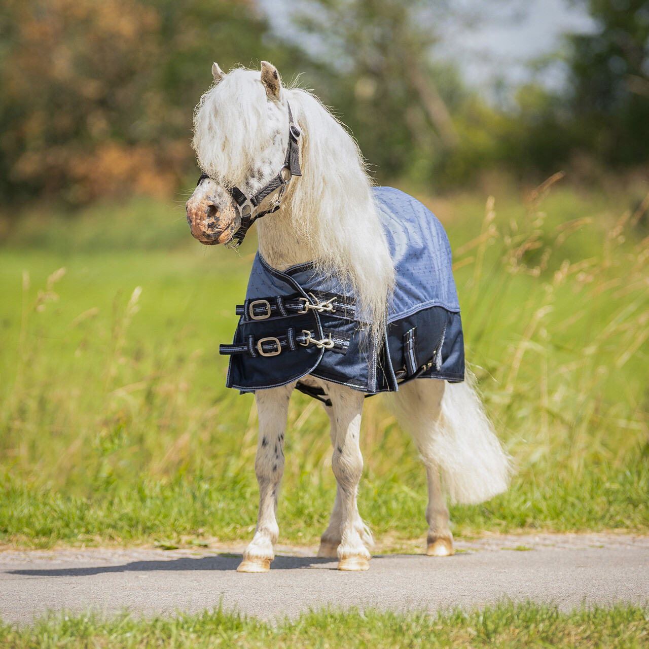 Turnoutdecke Falabella Collection 0gr