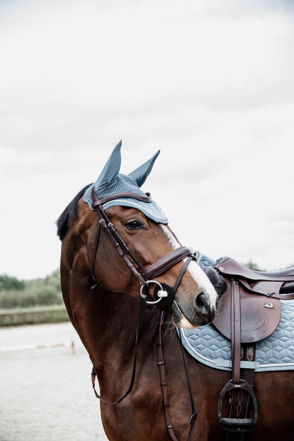 Fliegenhaube Wellington Velvet