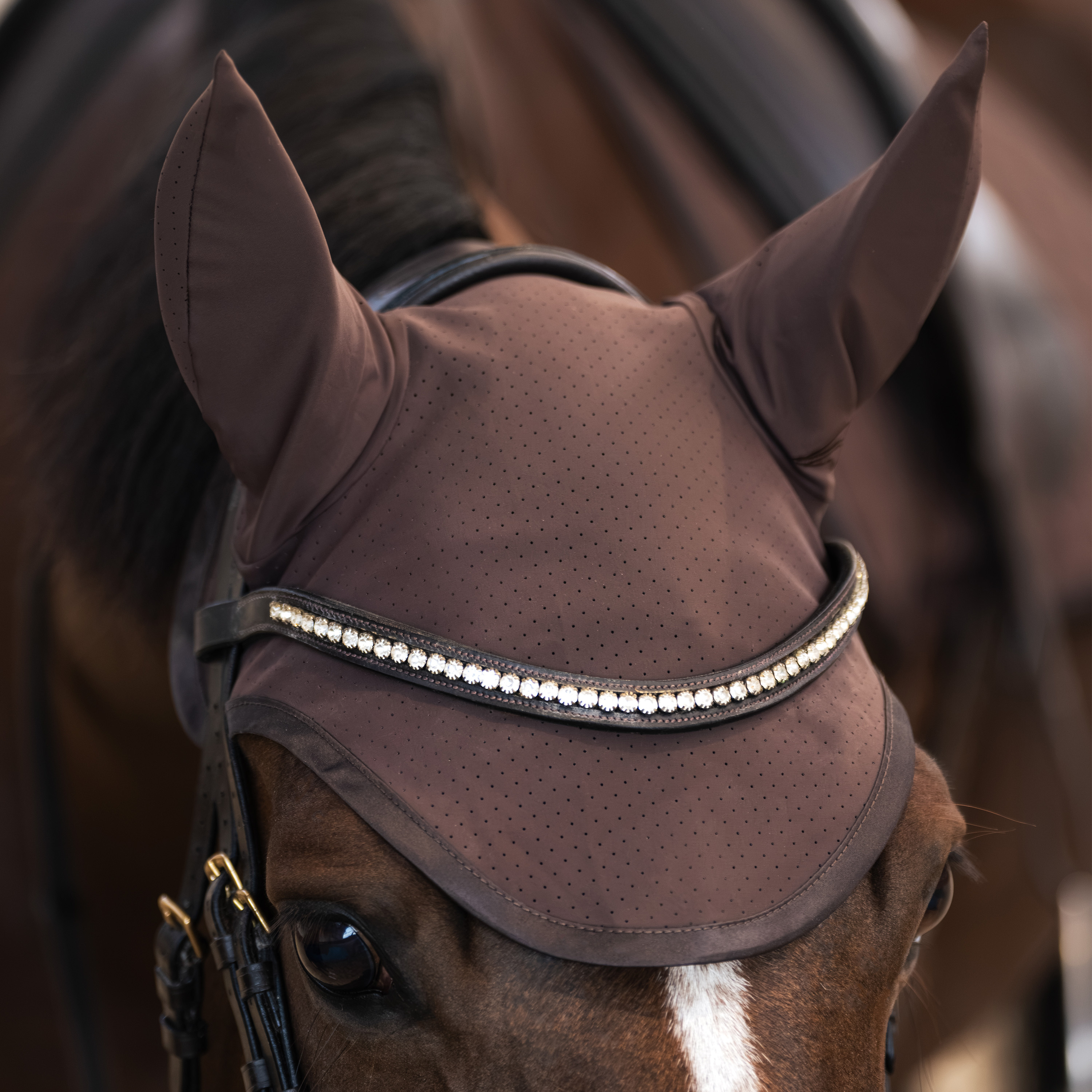 Fliegenhaube Coco
