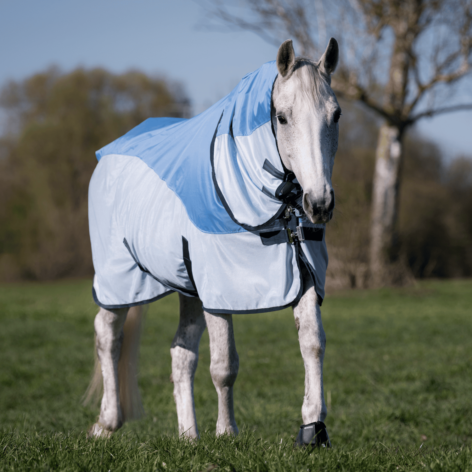 RainFly outdoor blanket