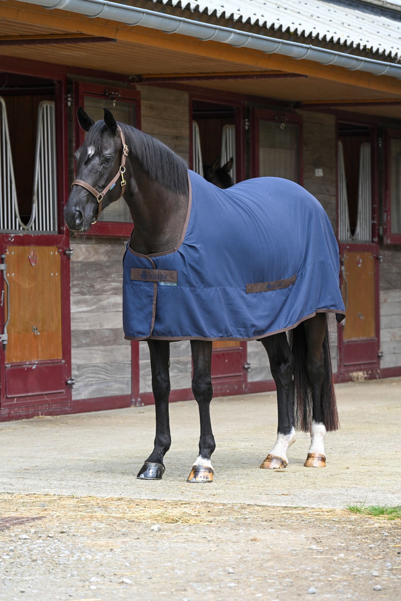 Stalldecke Cool Sheet Linen in Navy/Coffee