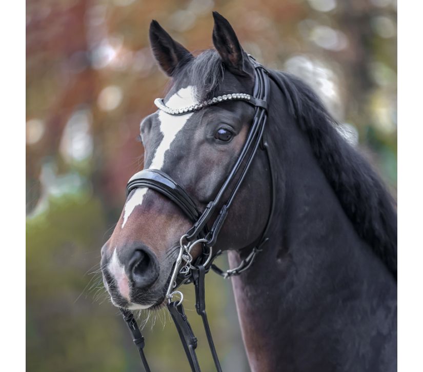 Kandare "Fleur" schwed.-rundgenäht Kandare "Fleur" schwed.-rundgenäht