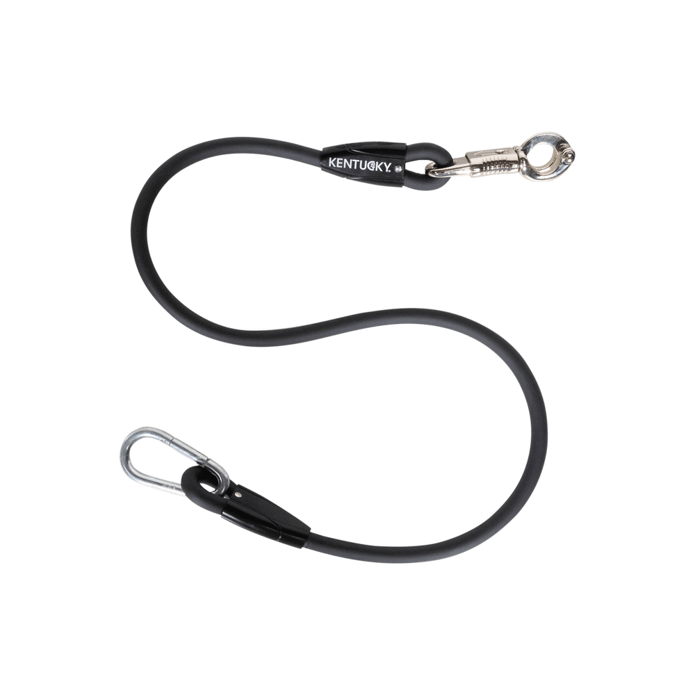 Elastic tether
