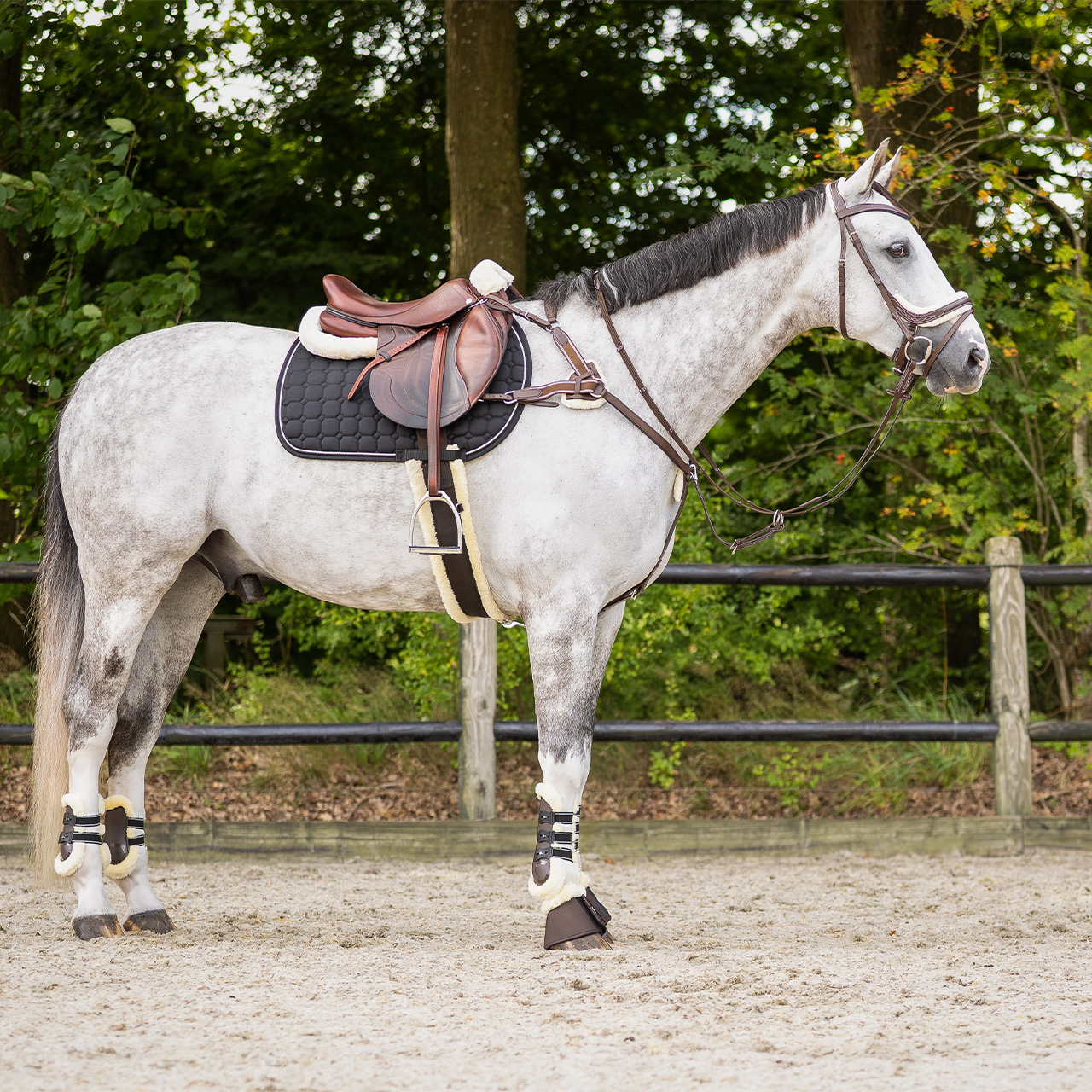 Saddle Pad Memory Foam Ontario