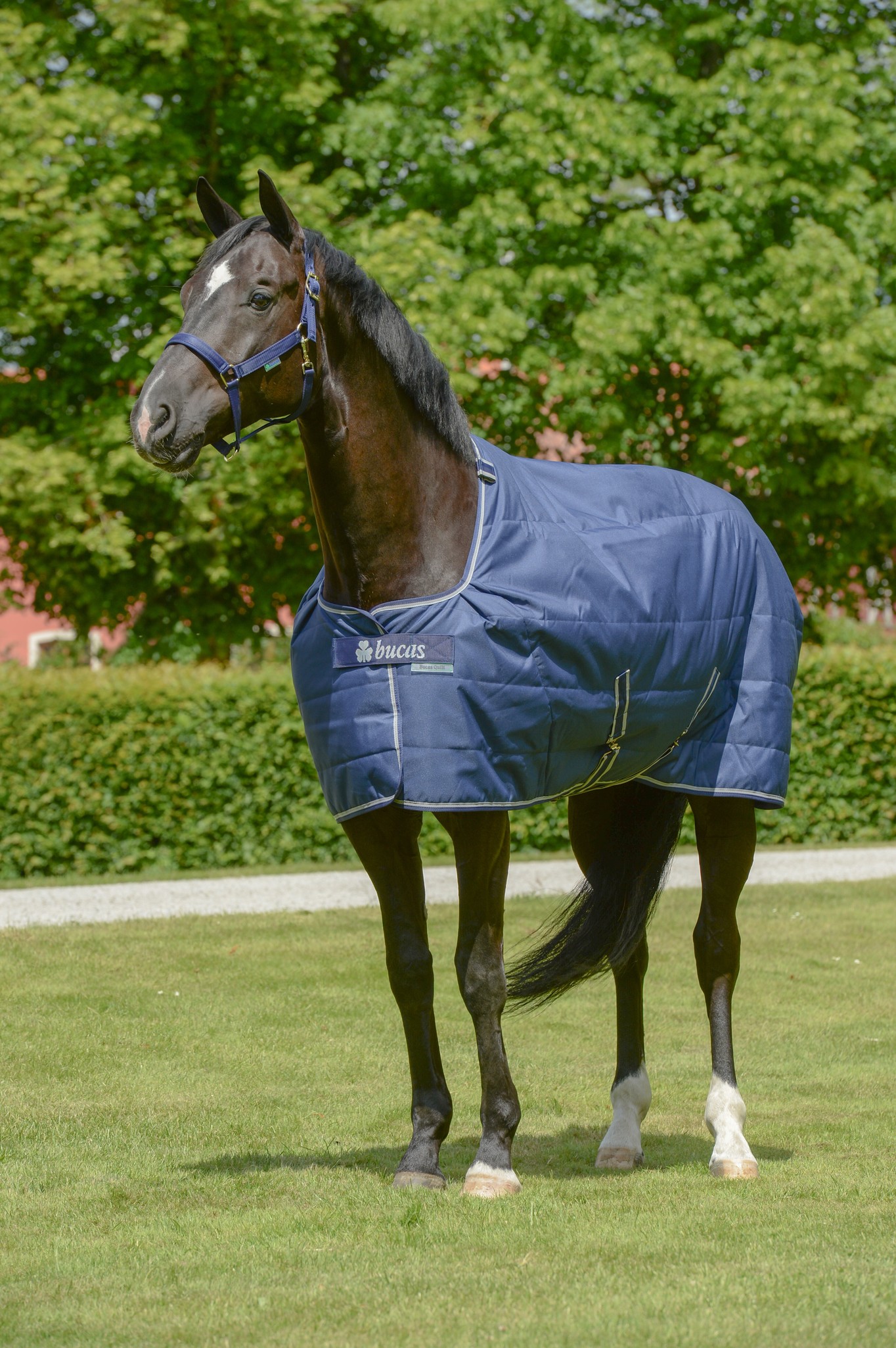 Stalldecke Quilt in Navy