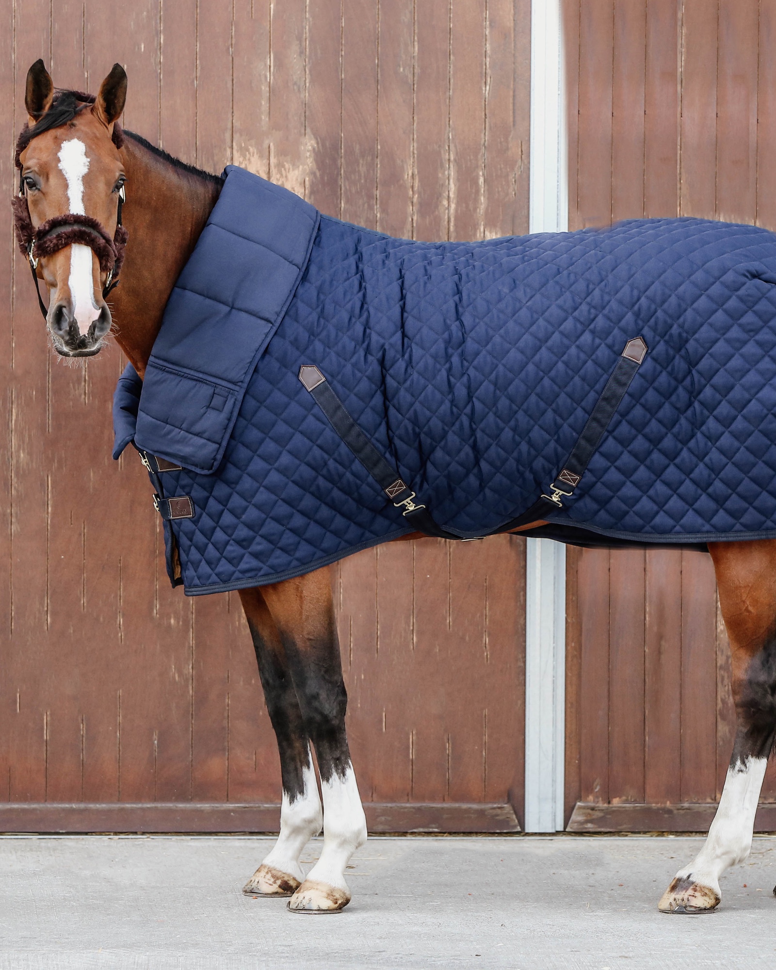 Down duvet horse 300g