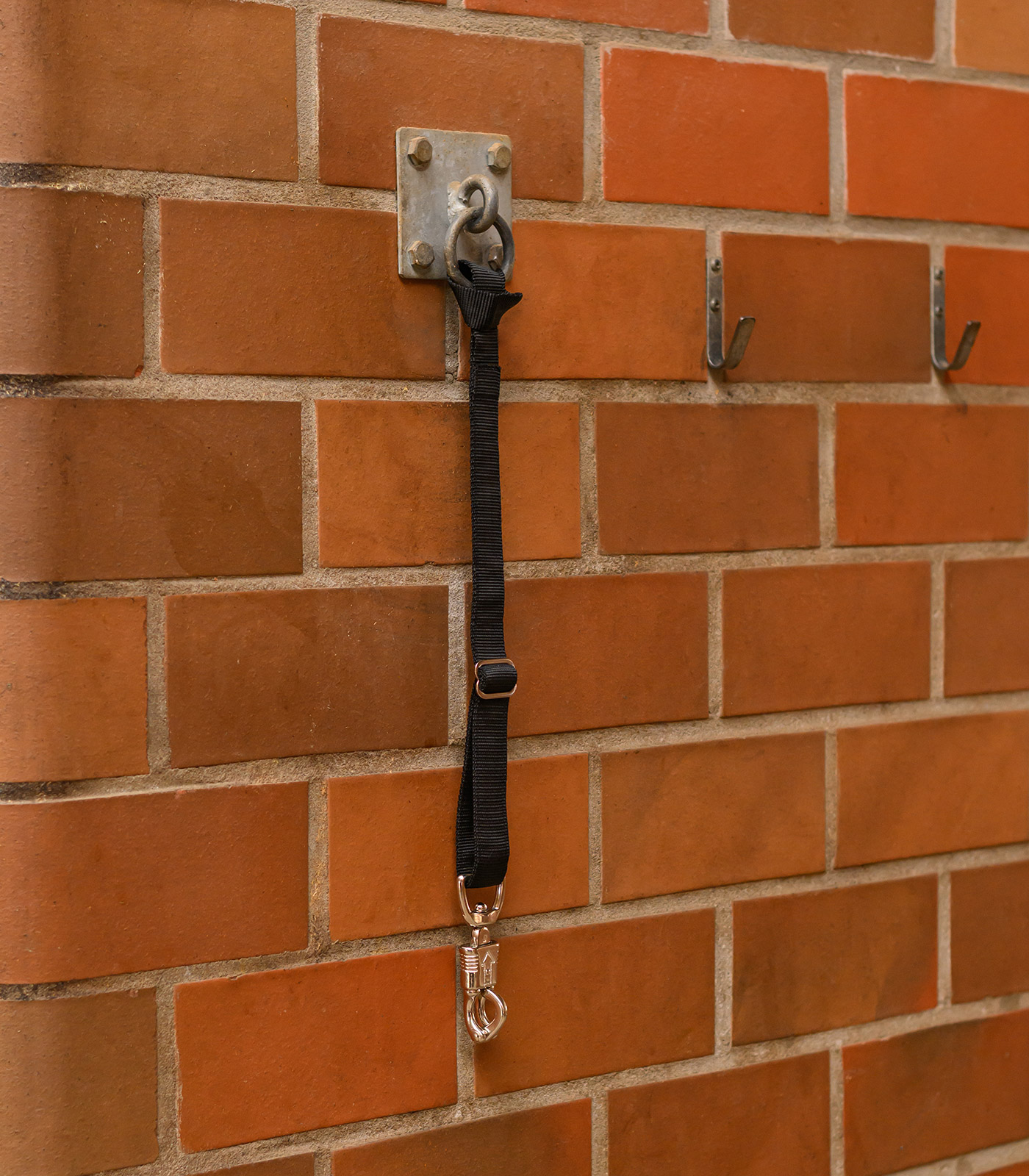 Nylon Anbindevorrichtung, 50 bis 70 cm