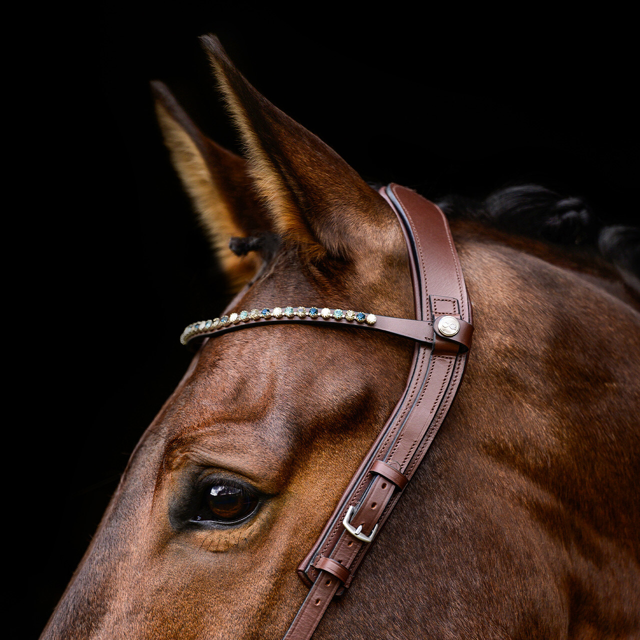 voorhoofdsriem ShineBright