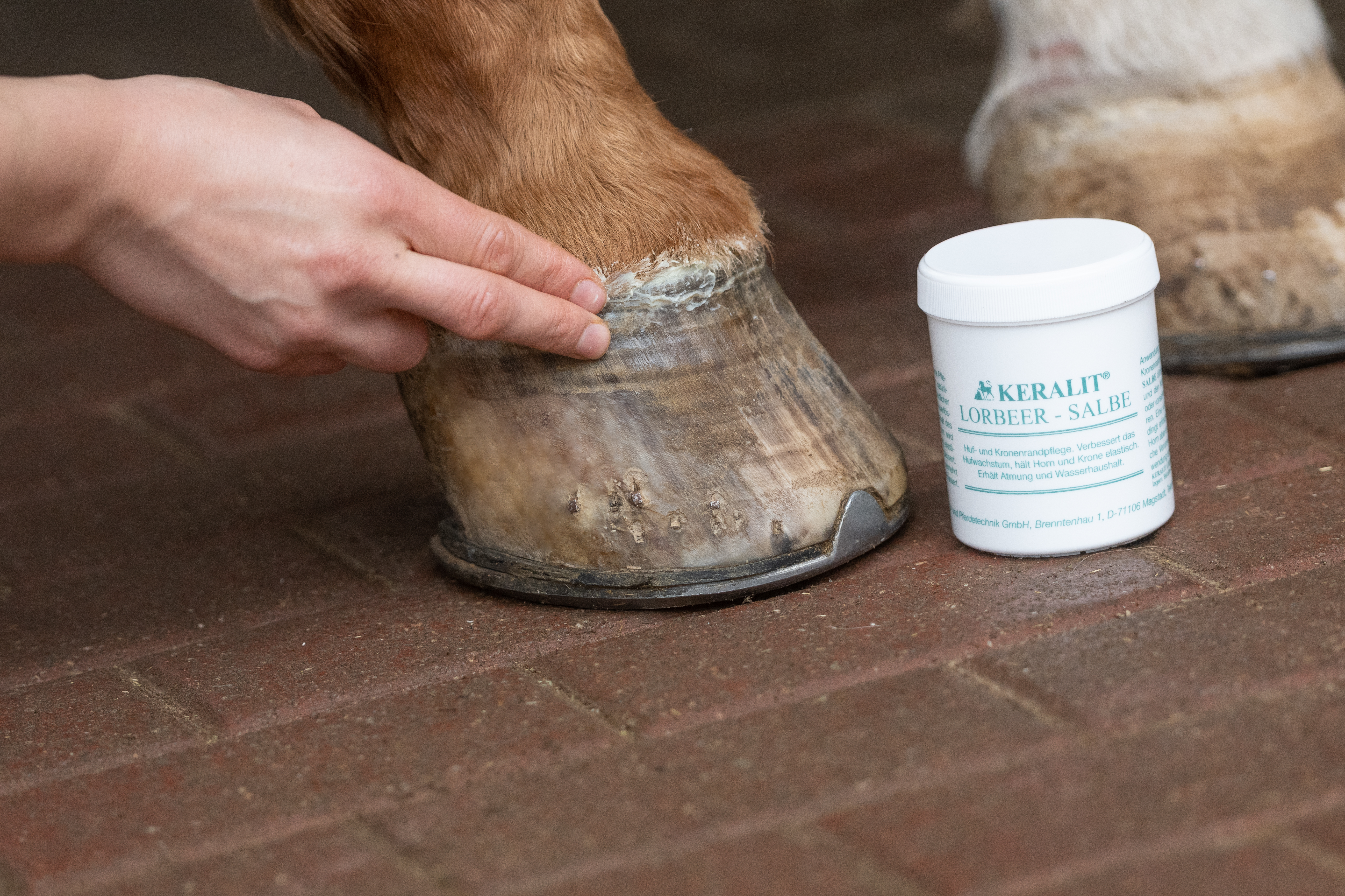 Laurel ointment 300ml