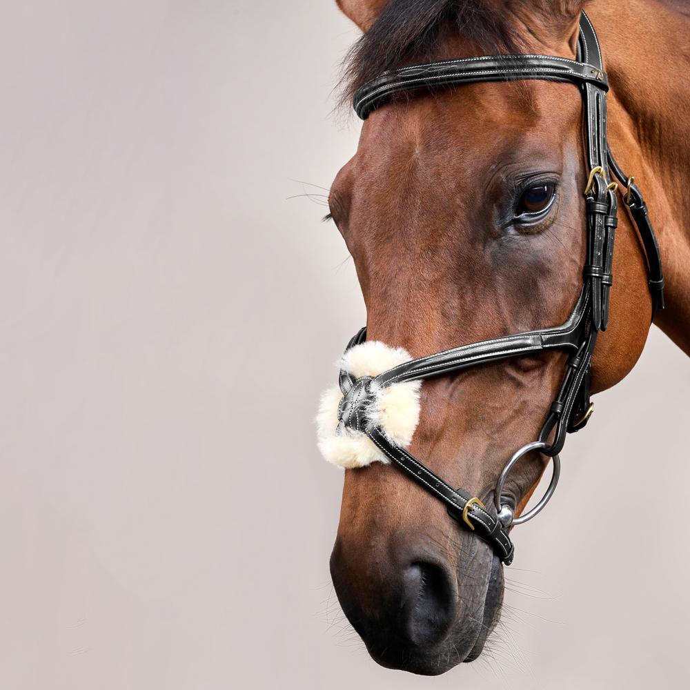 Trense mit mexikanischem Reithalfter DY | Dy'on