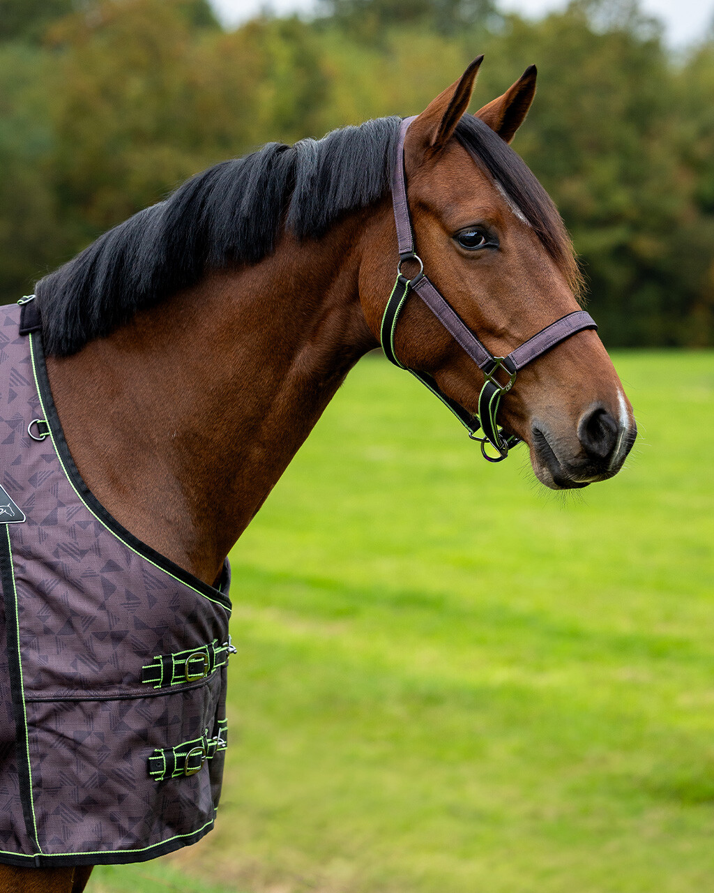 Halfter-Set mit Turnout Collection