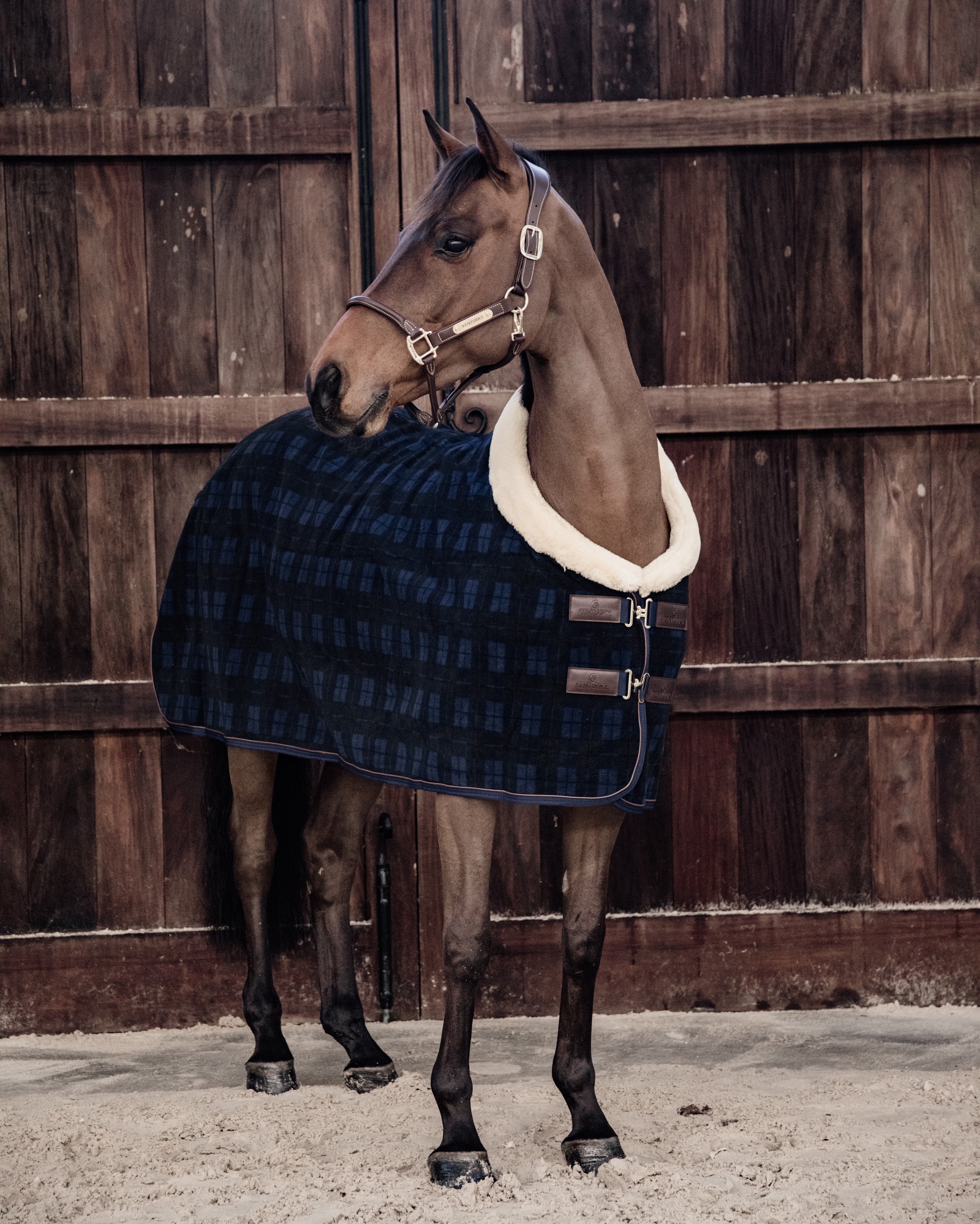 Fleece Show Heavy sweat rug