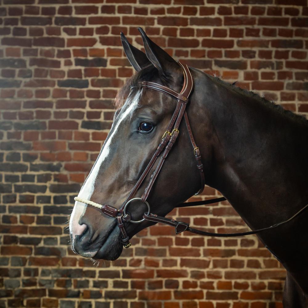 Trense mit hannoverschem Strickreithalfter DY | Dy'on