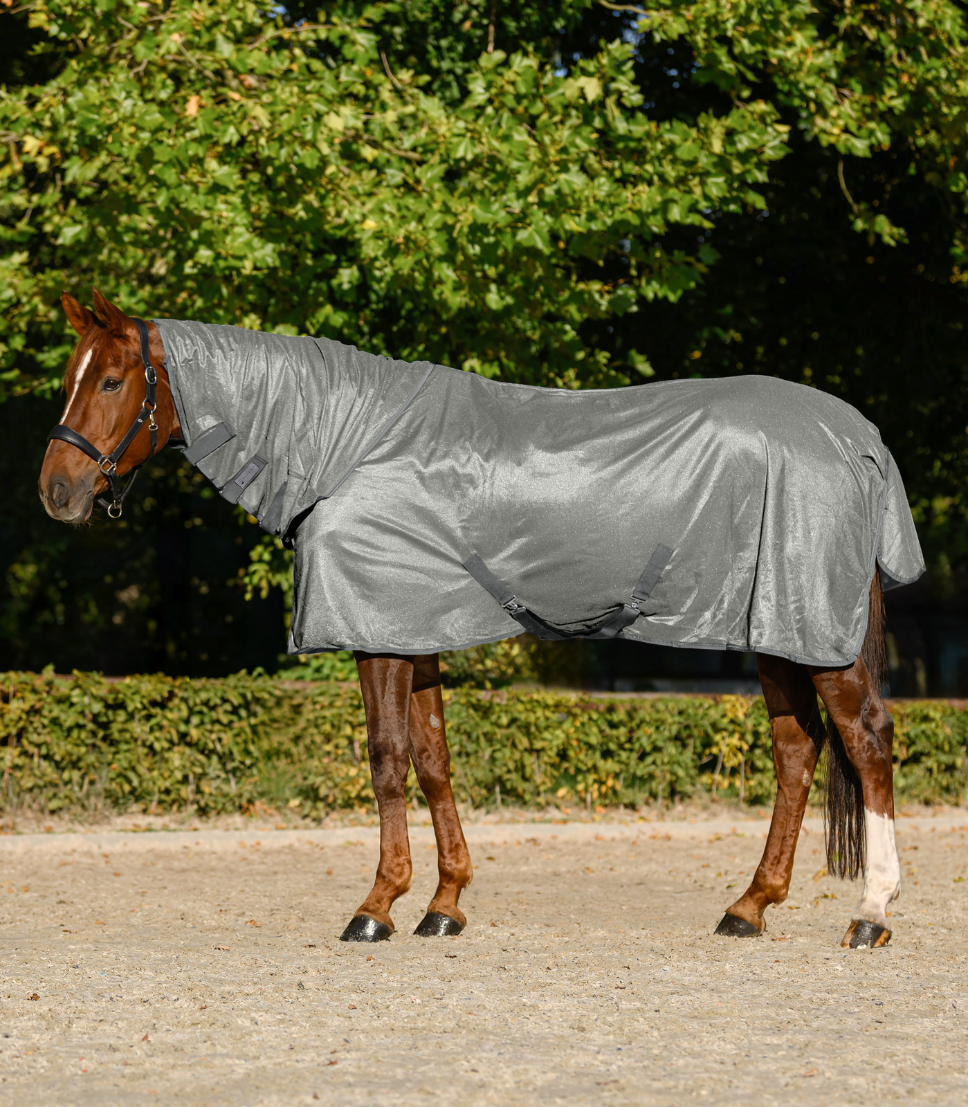 Fliegendecke FlyControl mit Halsteil