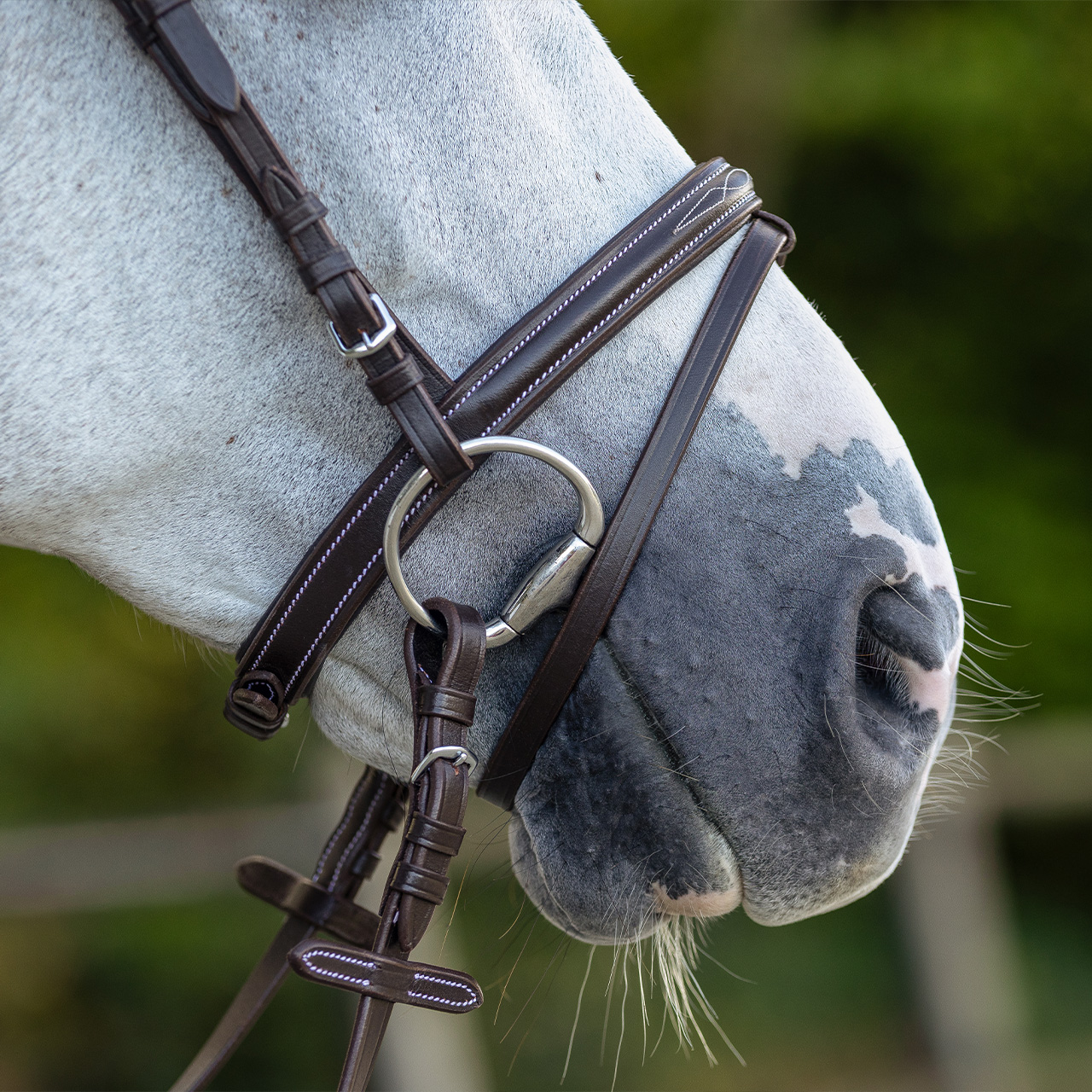 Snaffle with luxury stitching