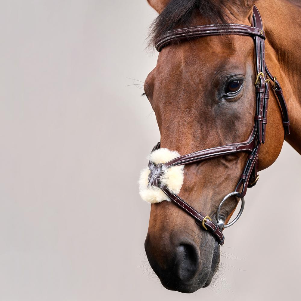 Trense mit mexikanischem Reithalfter DY | Dy'on