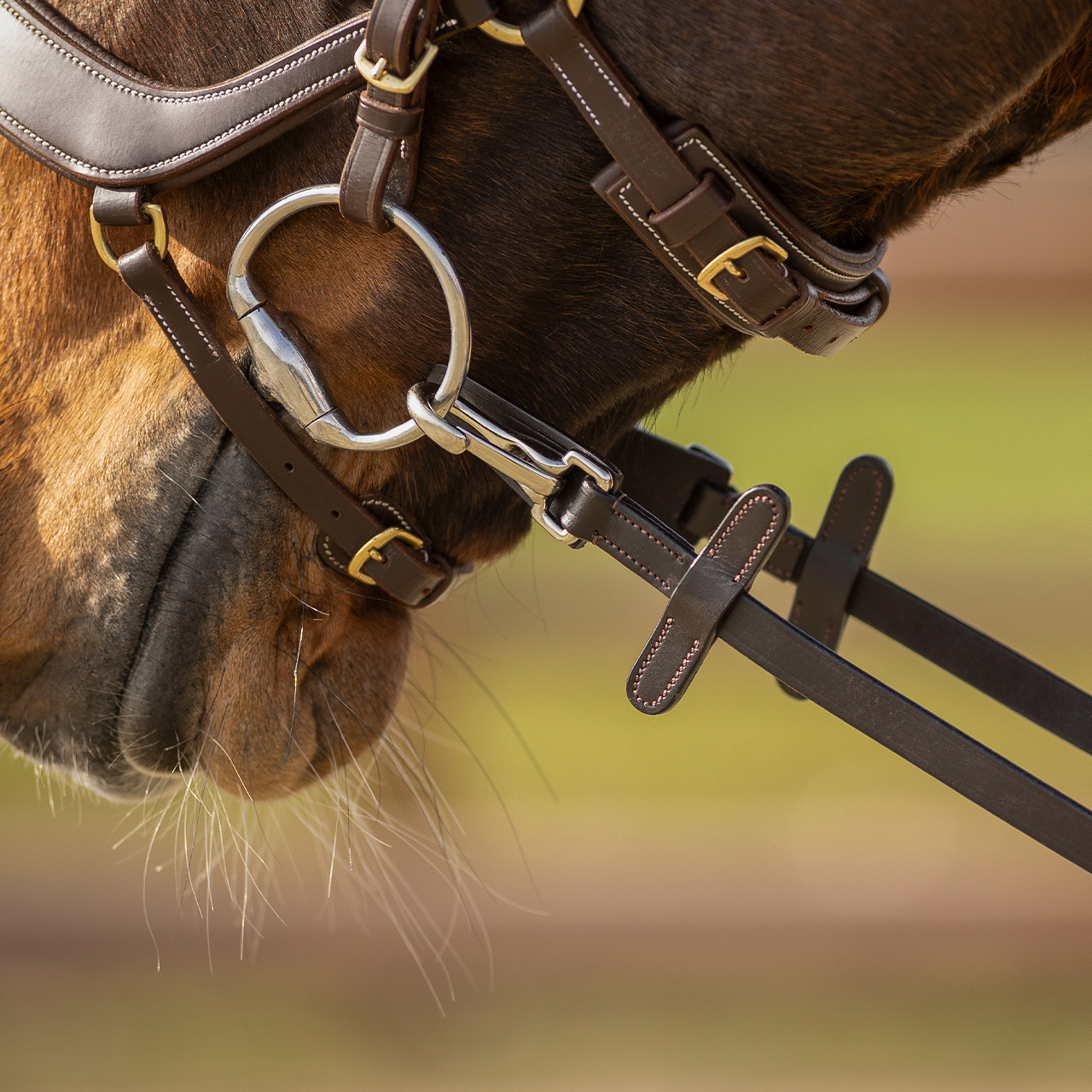 Zügel mit Gummiunterseite mit Clip