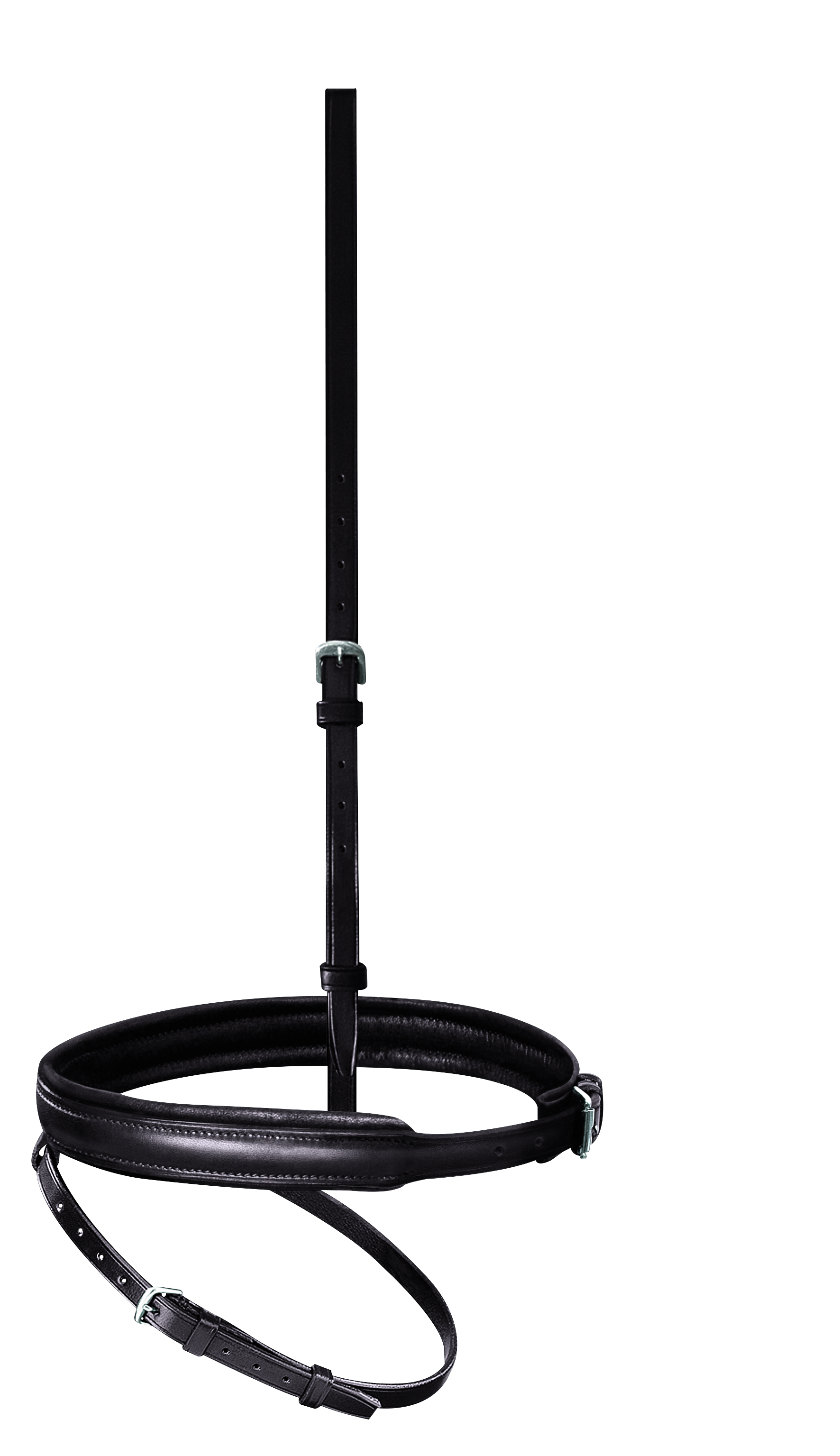 Reithalfter engl. kombiniert mit flachem Sperriemen Edelstahl in havanna