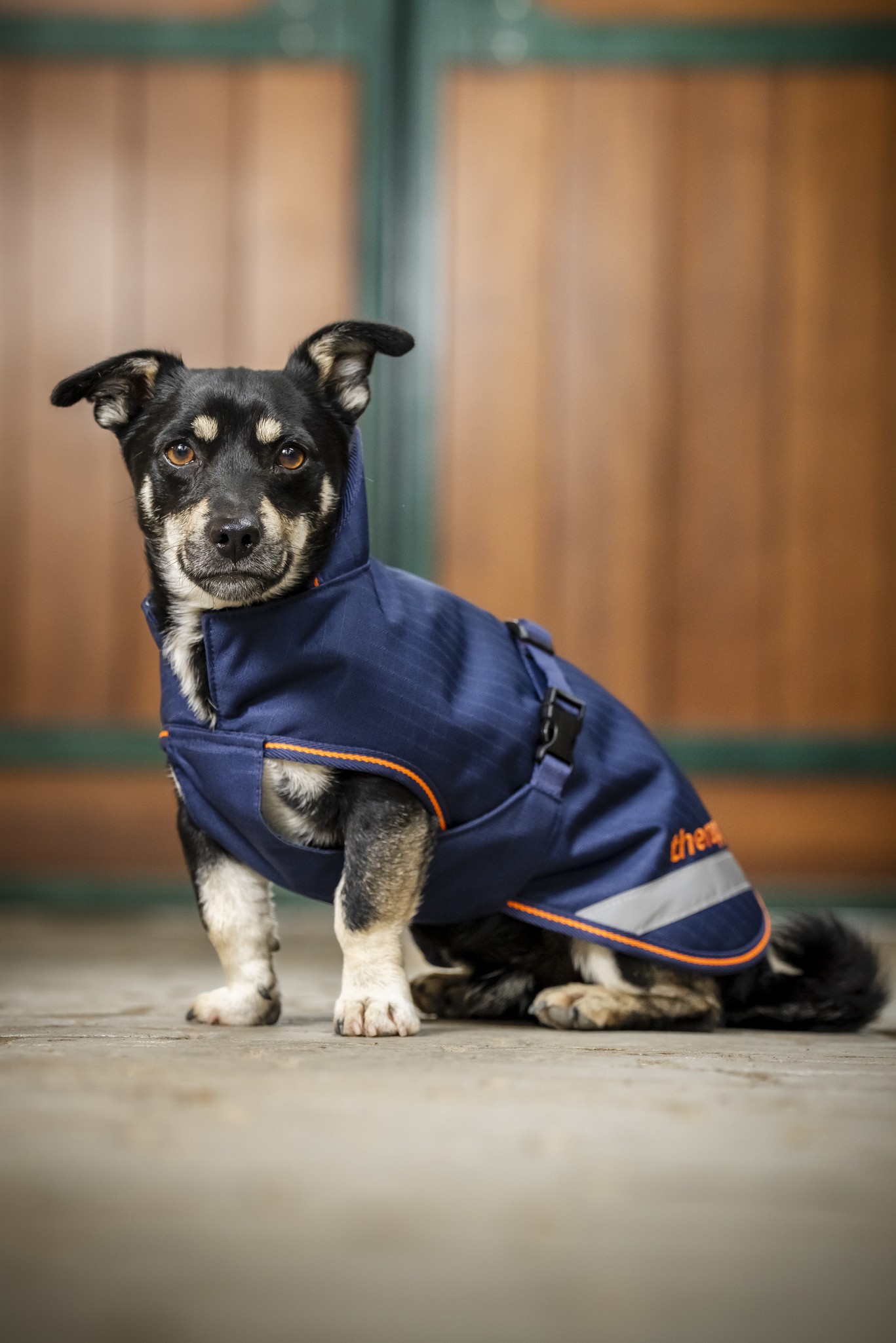 Hundedecke Therapy in Navy/Orange