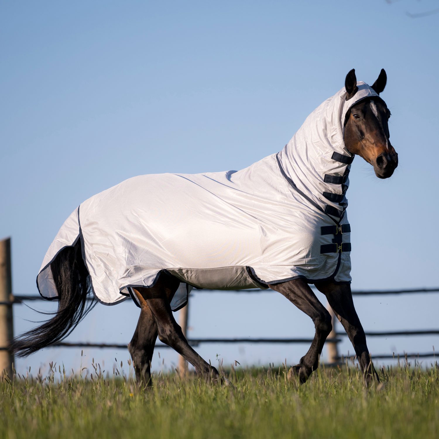 Complete Plus fly rug