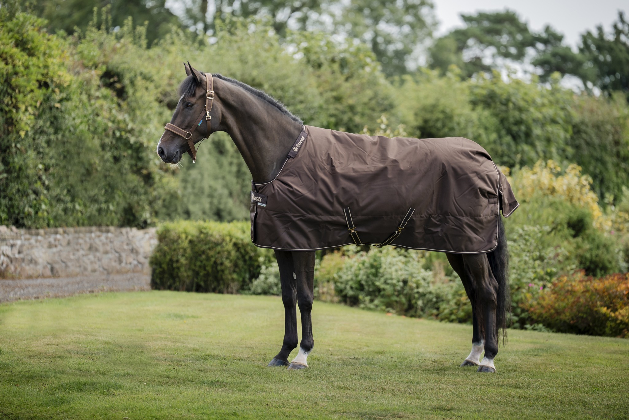 Outdoordecke Irish Turnout 300 g in Espresso
