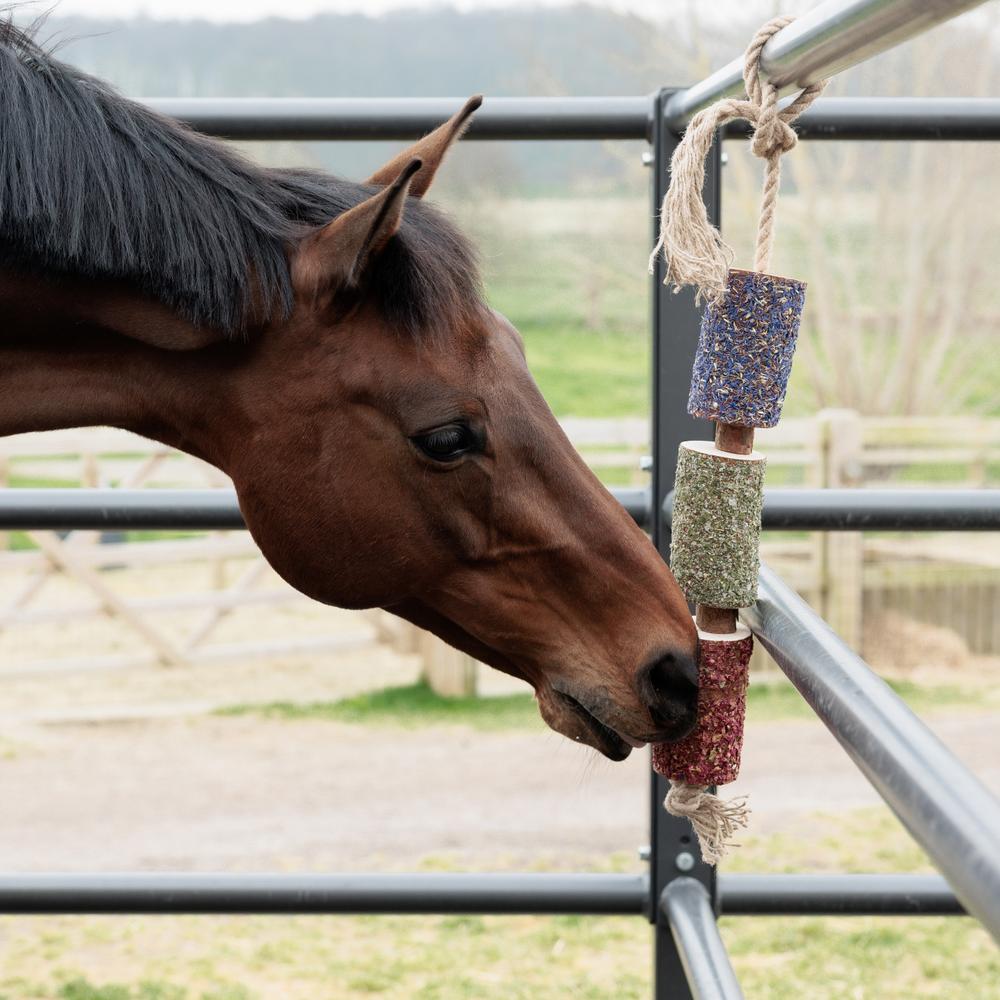 Holz relax horse toy