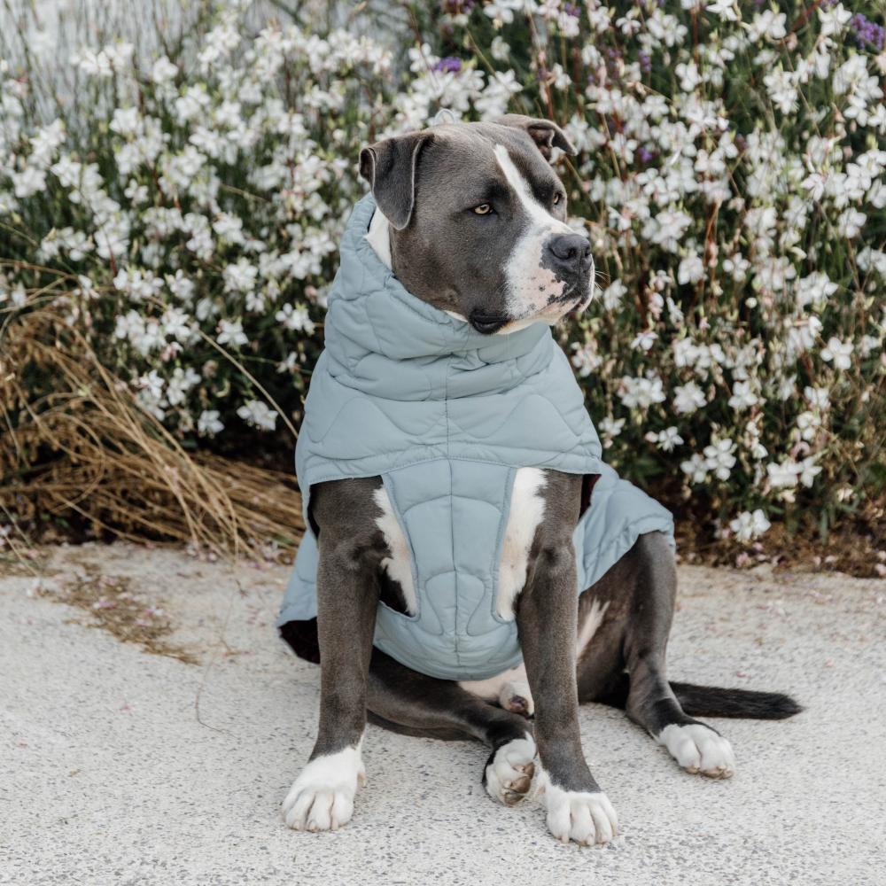Hundemäntel Winter Pina
