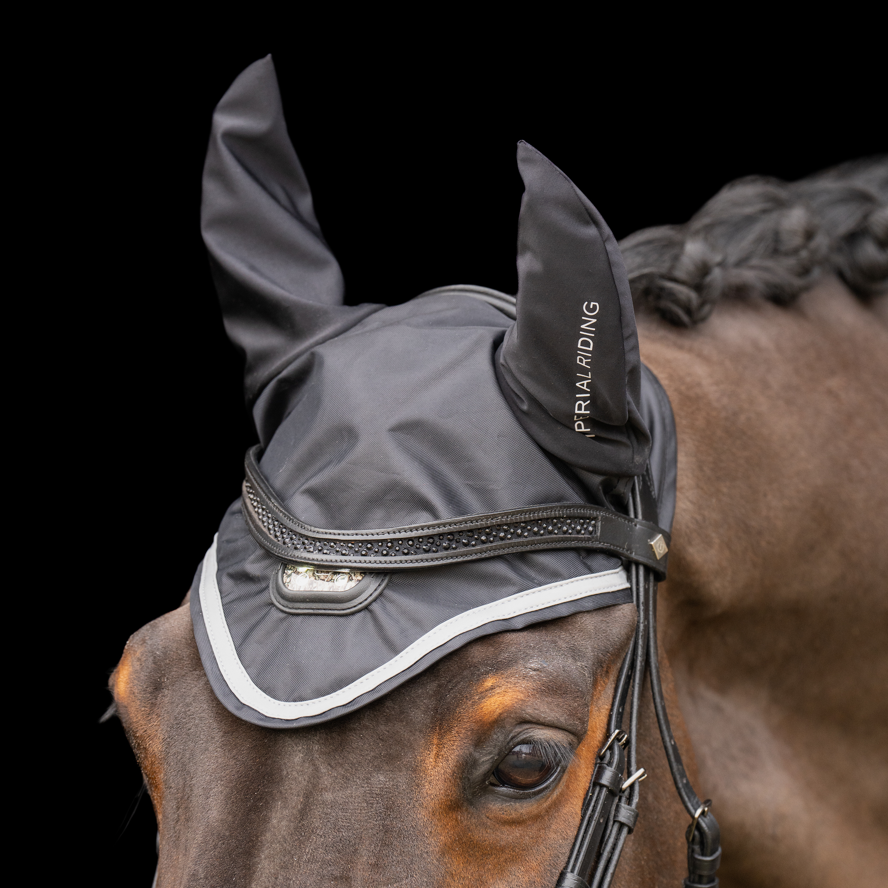 Fliegenhaube Luminous