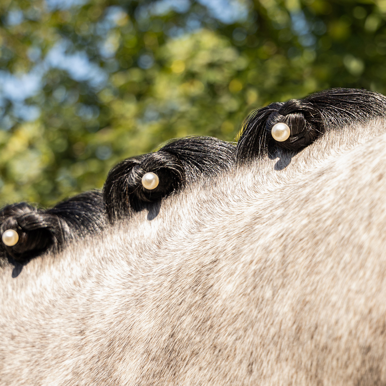 Mähnenschmuck Pearl