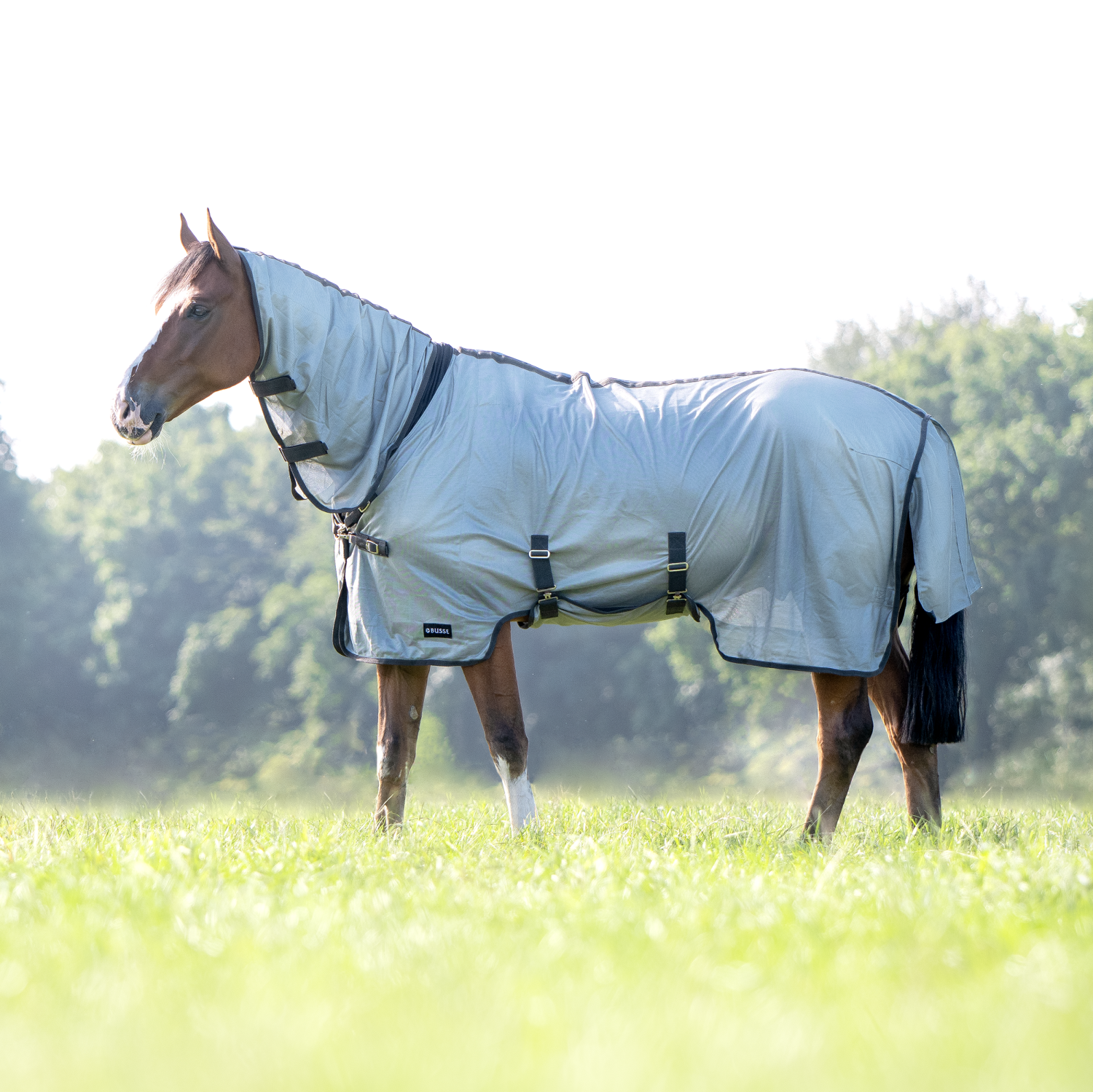 Outdoor fly rug Superb