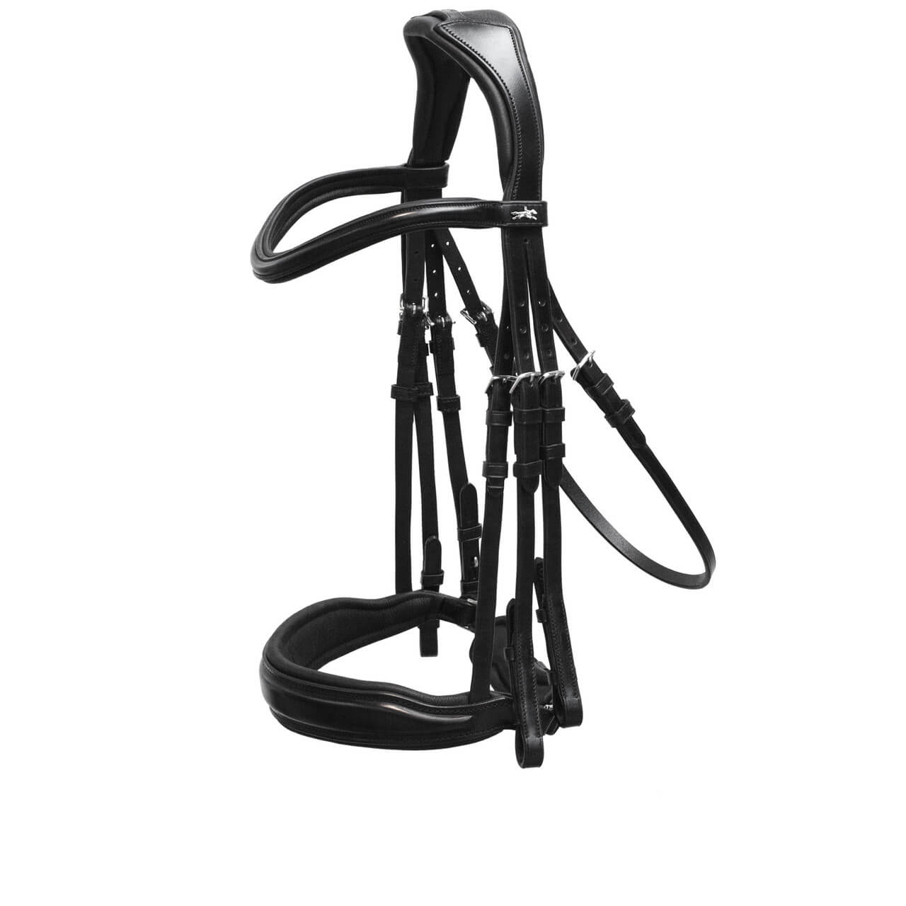 Milan anatomical curb bit