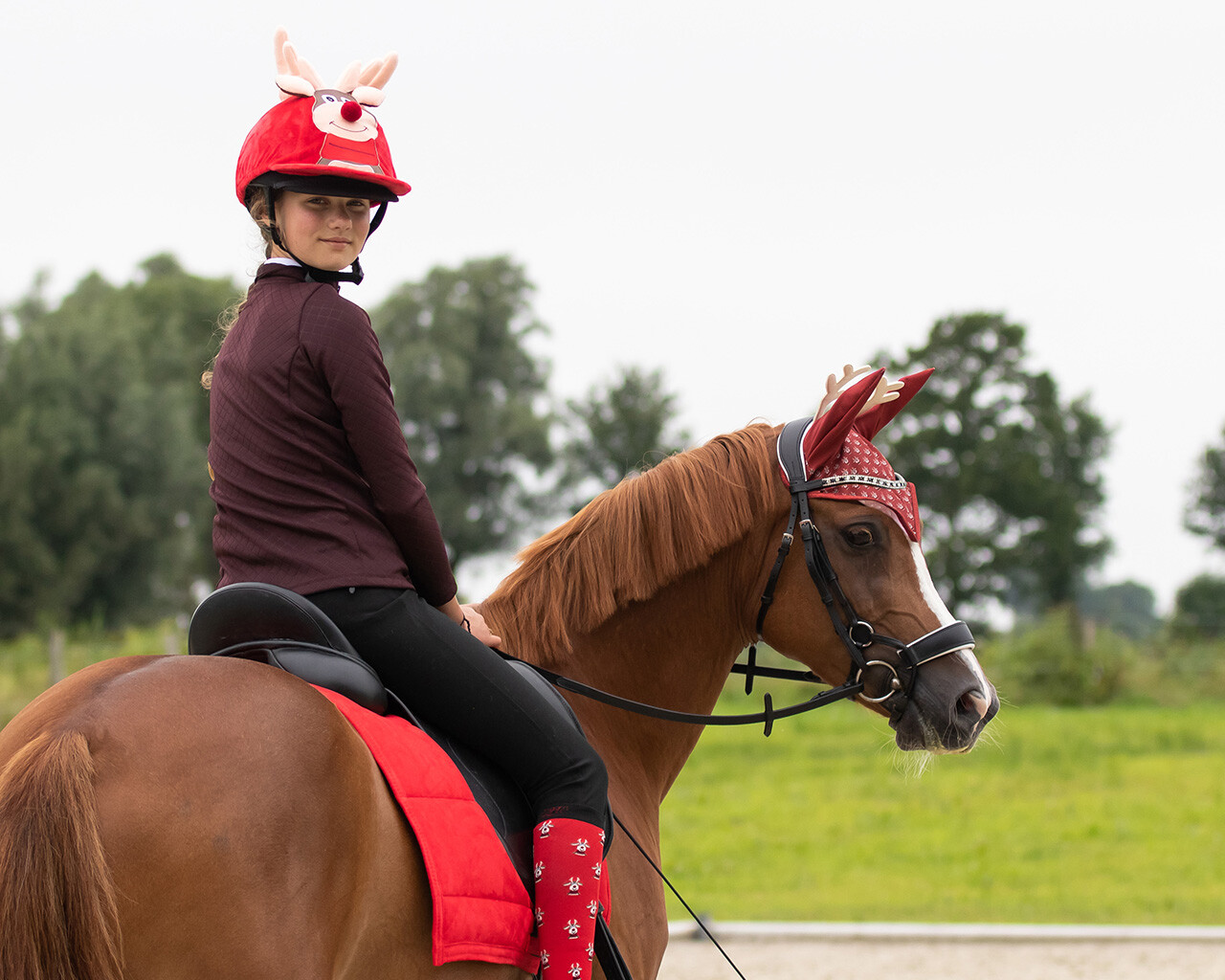 Christmas riding helmet cover