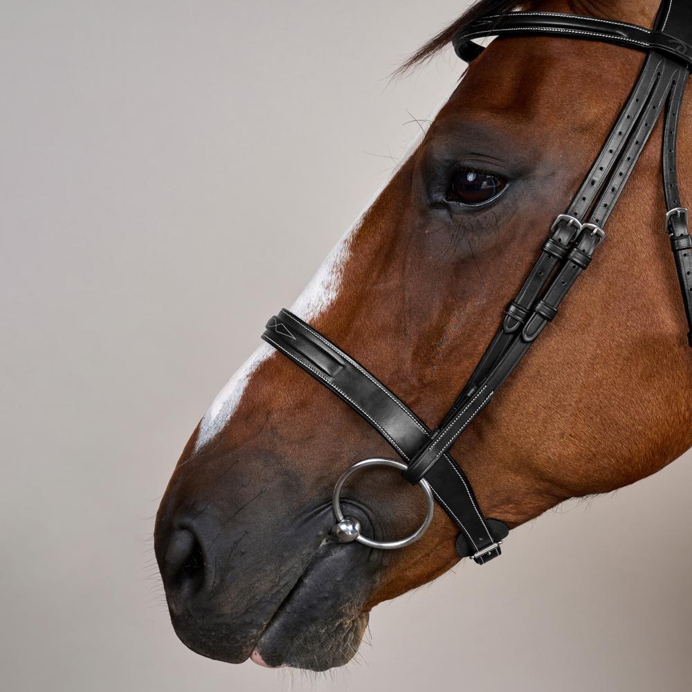 Cavesson Hunter Trense mit englischem Reithalfter US