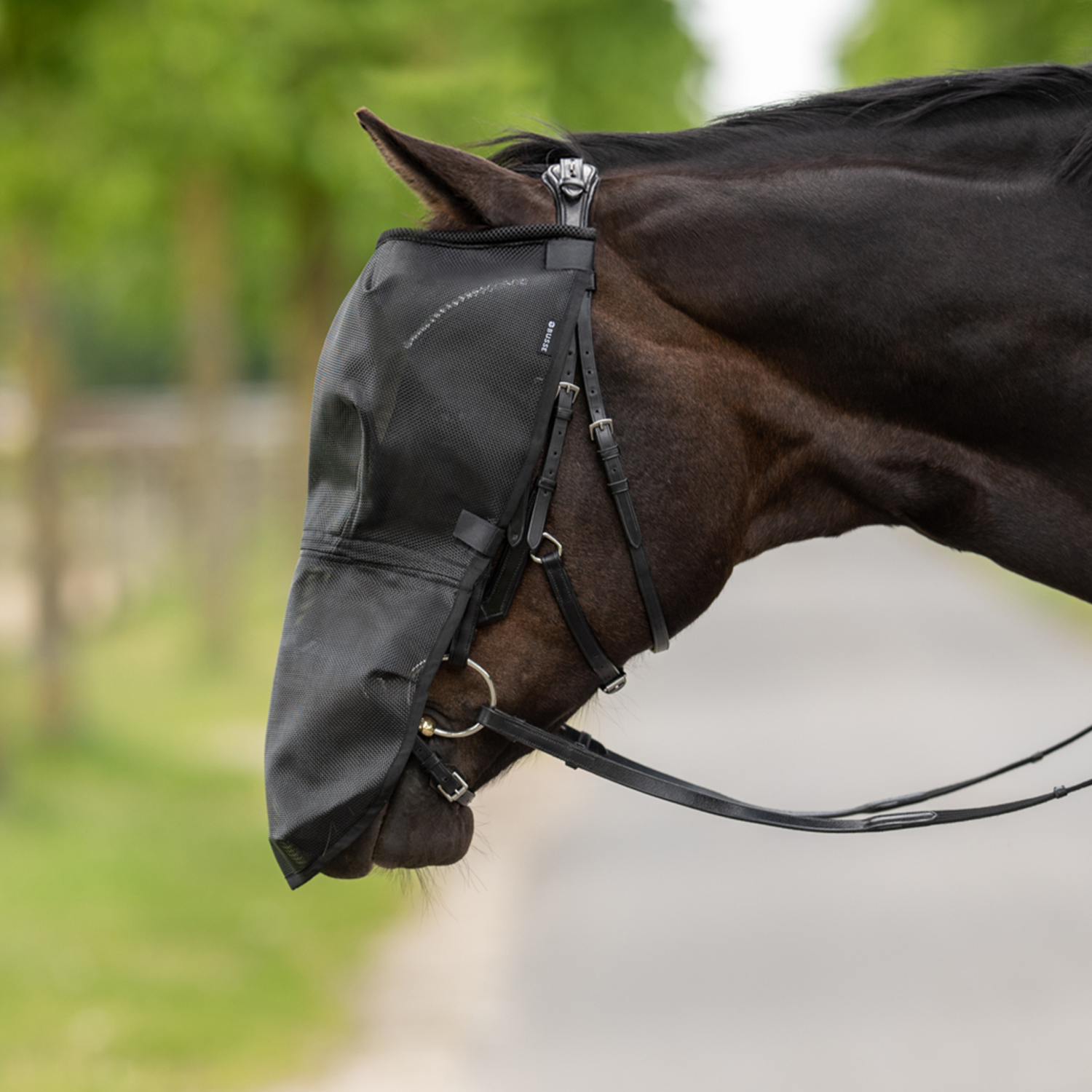 Riding Plus fly mask