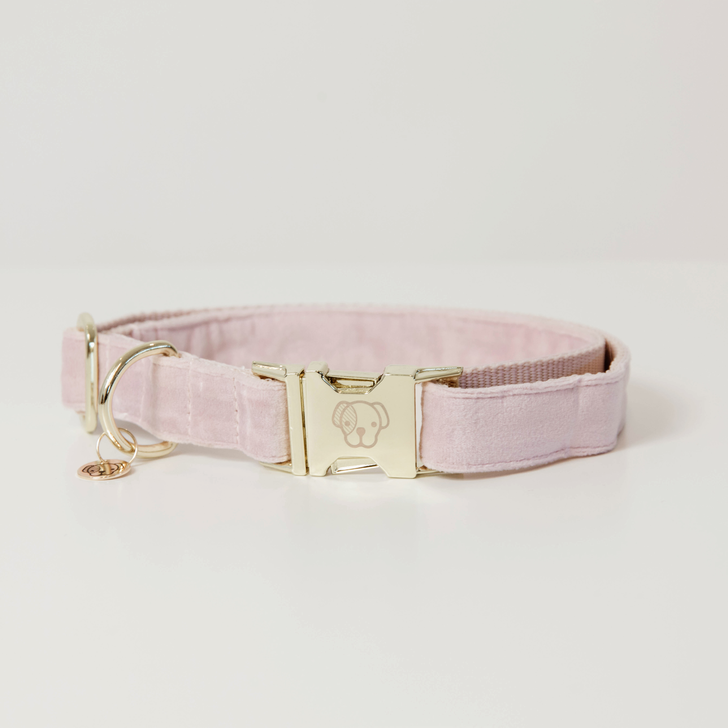 Hunde Halsband Velvet Hunde Halsband Velvet