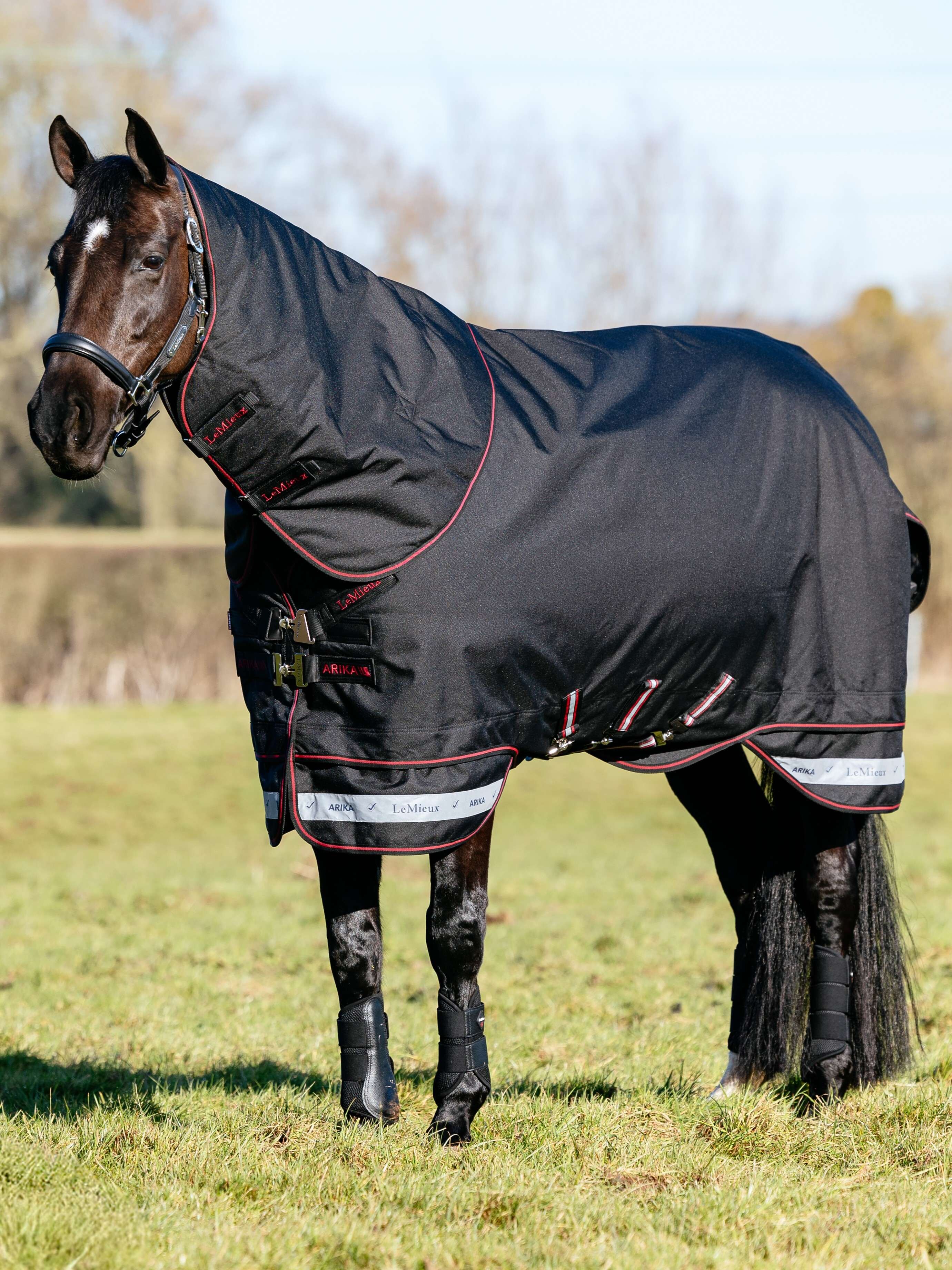 Arika Storm-Tek Weidedecke 350G