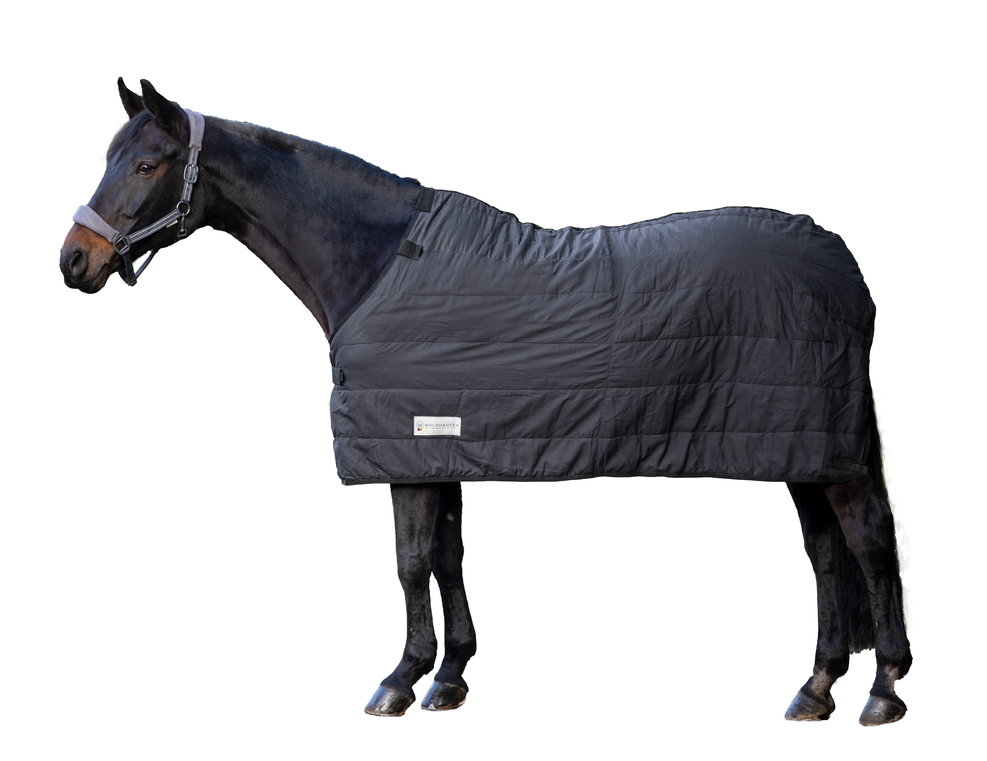 Thermo Unterdecke, 200 g