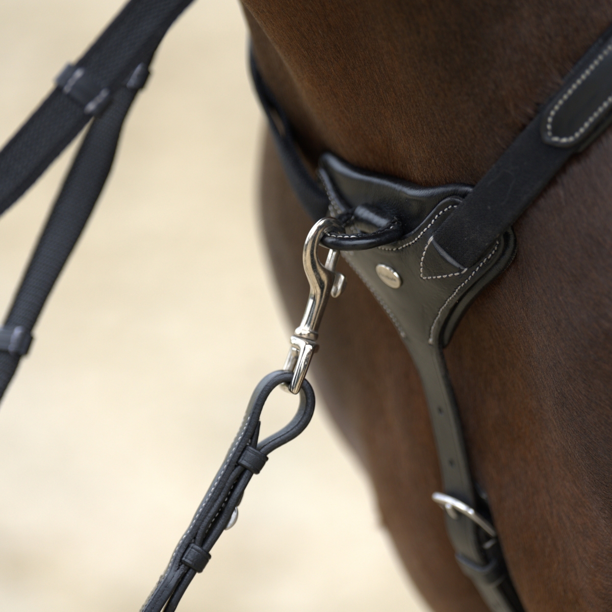 Breastplate "Bianca" 5-pt. with elastic