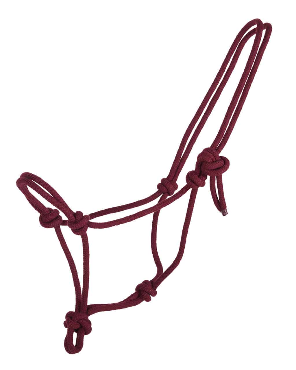Basic knot halter