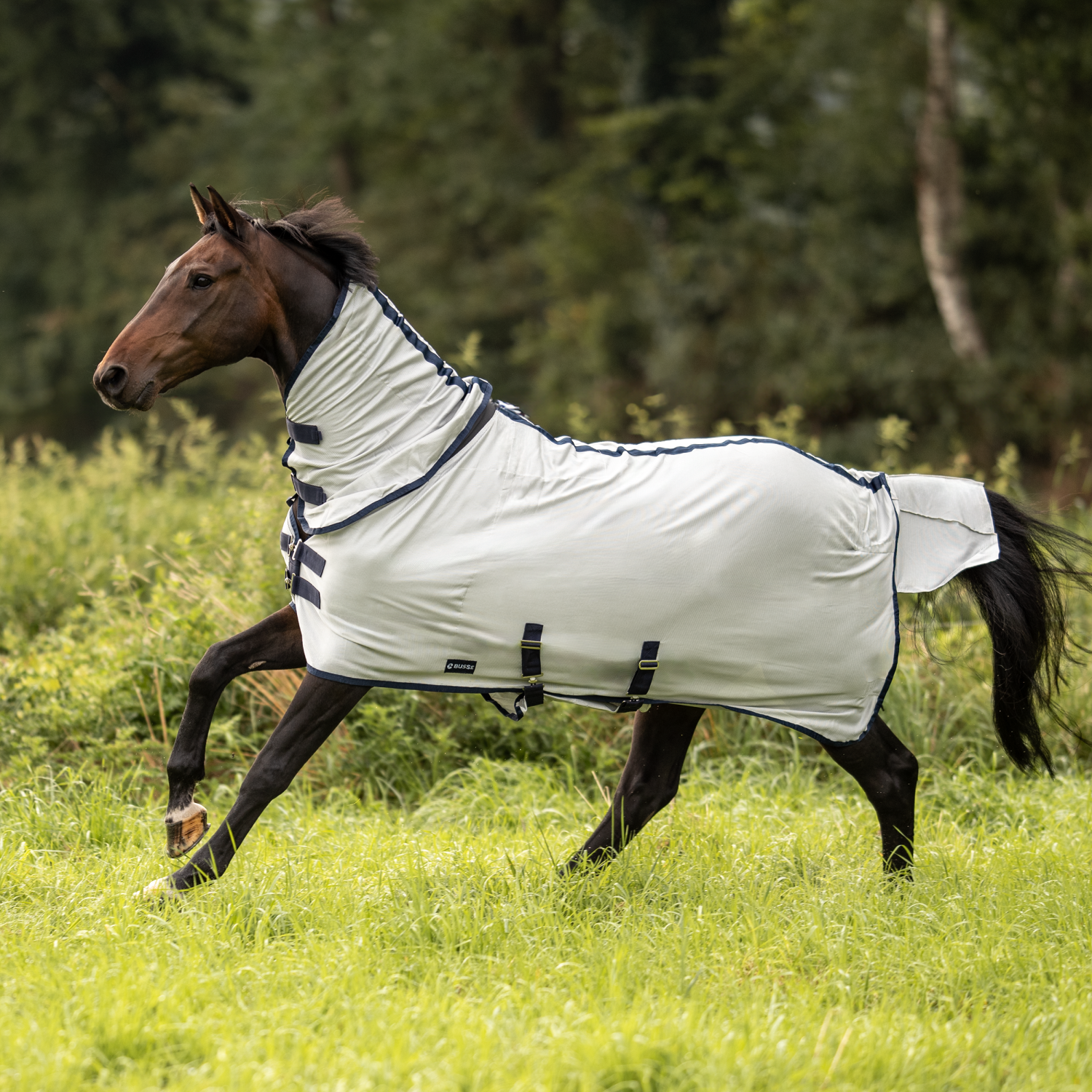 Outdoor-Fliegendecke Comfort Pro